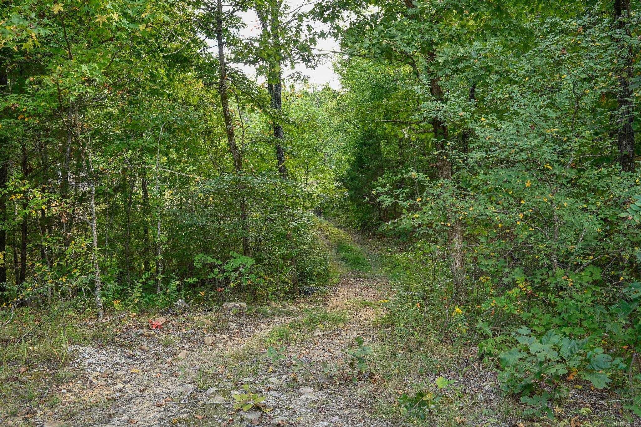 1449 Highway 270 Mena, AR 71953