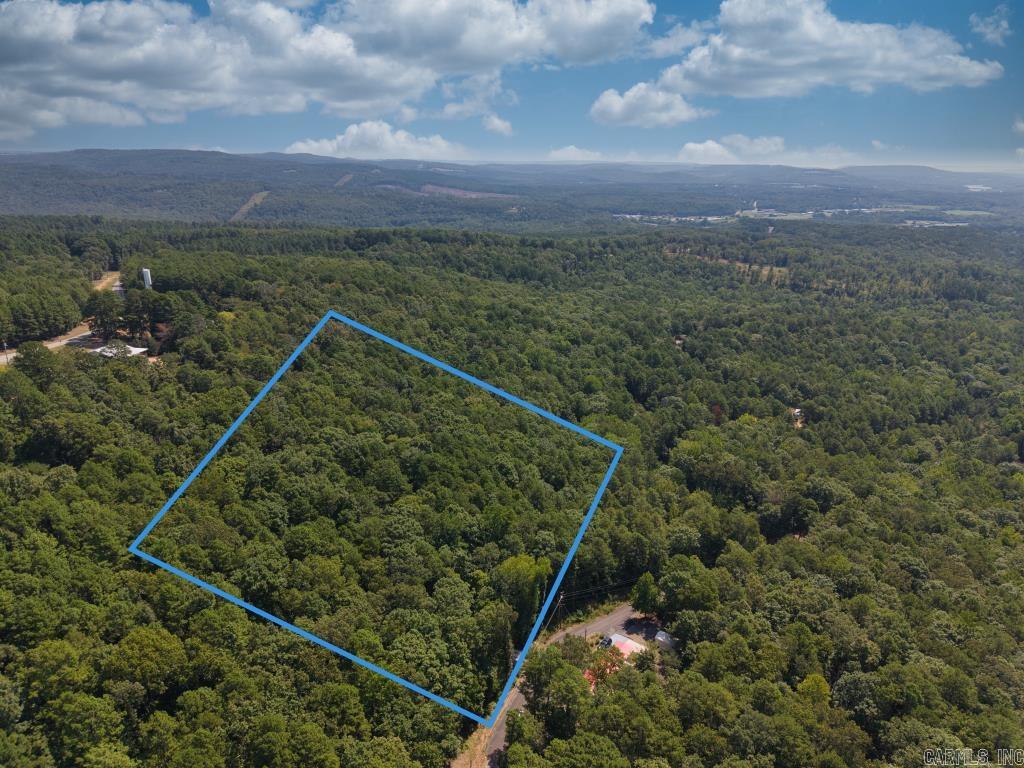 0 White  Clinton, AR