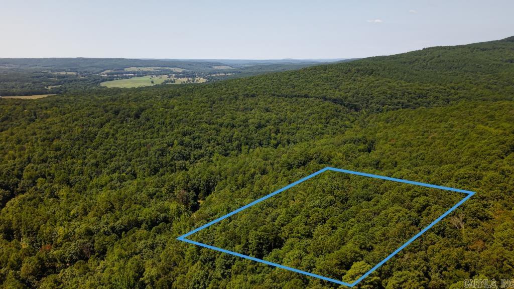 0 White  Clinton, AR