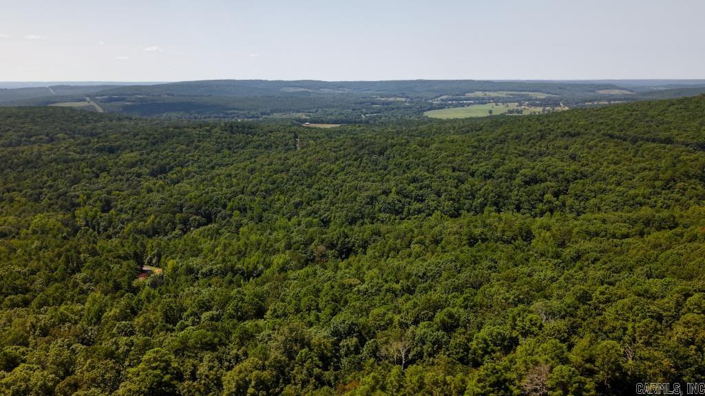 0 White  Clinton, AR