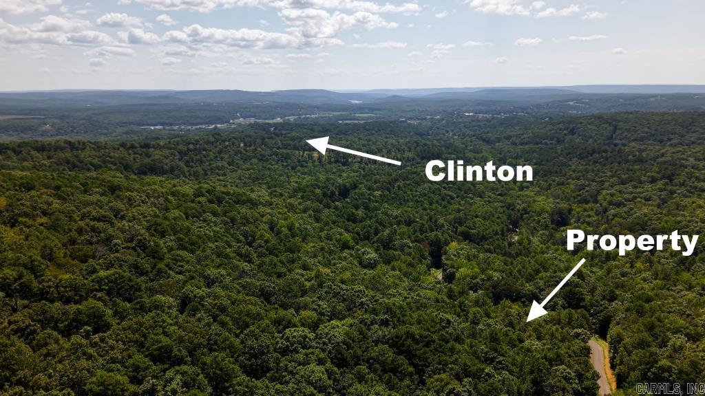 0 White  Clinton, AR