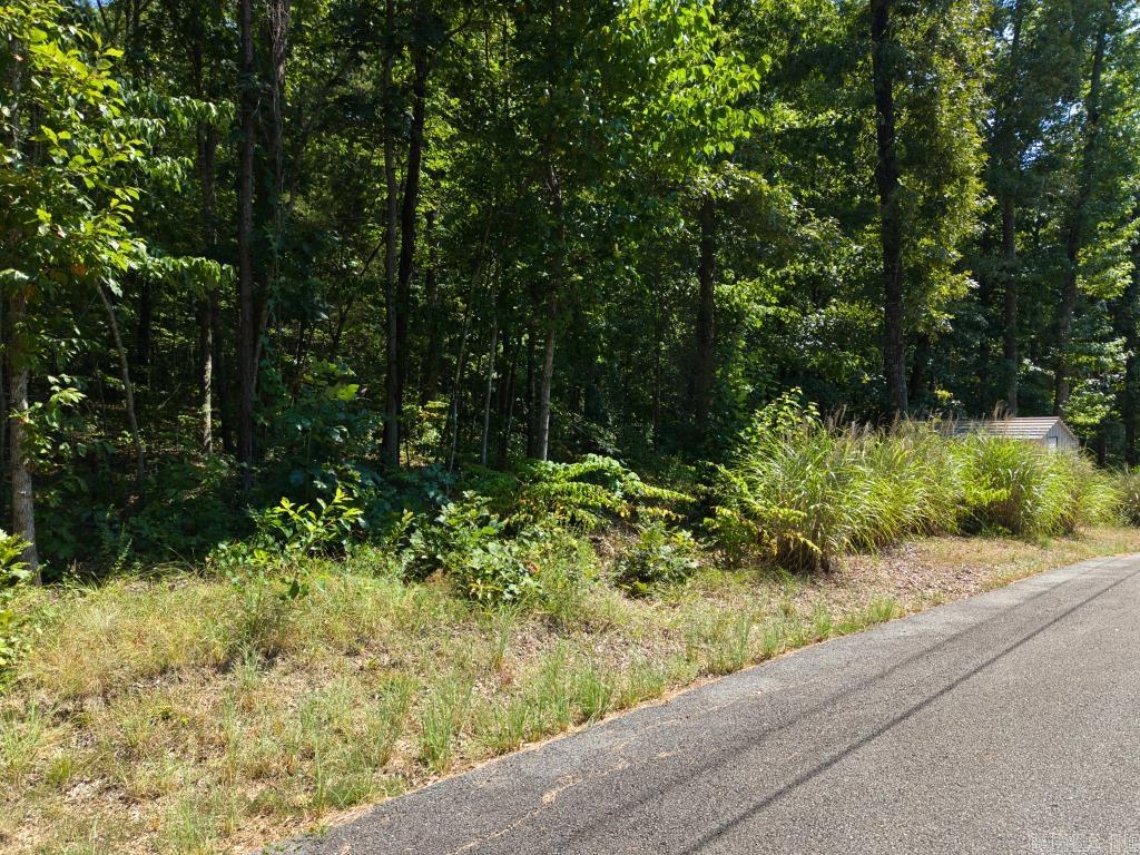 0 White  Clinton, AR