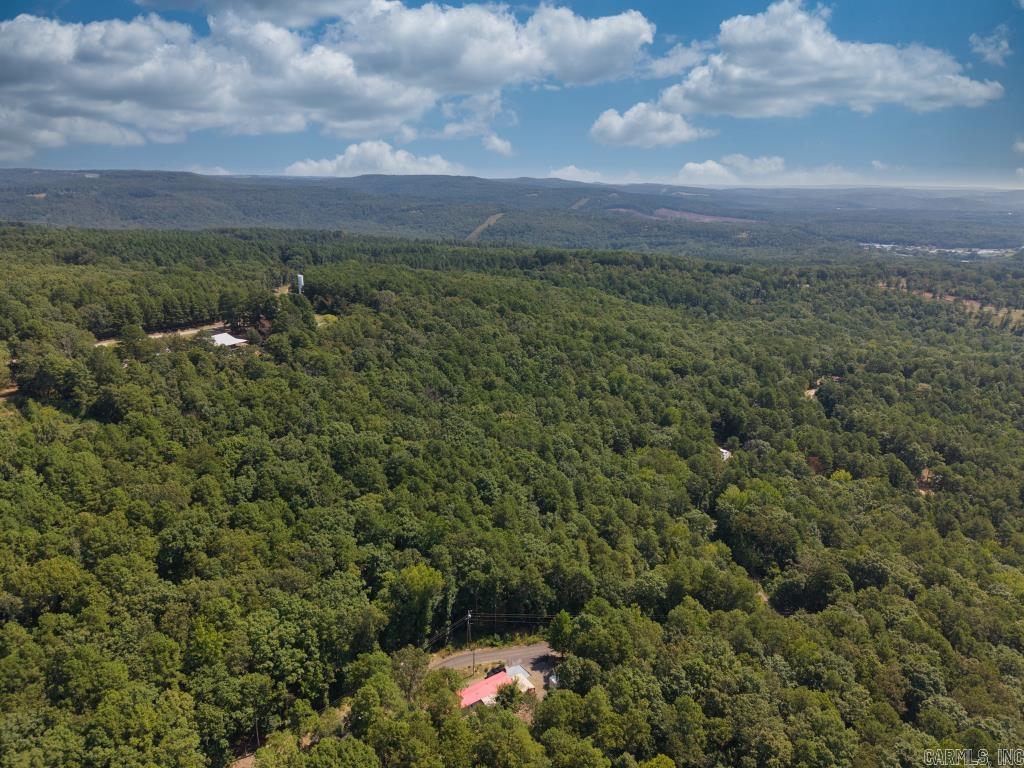 0 White  Clinton, AR