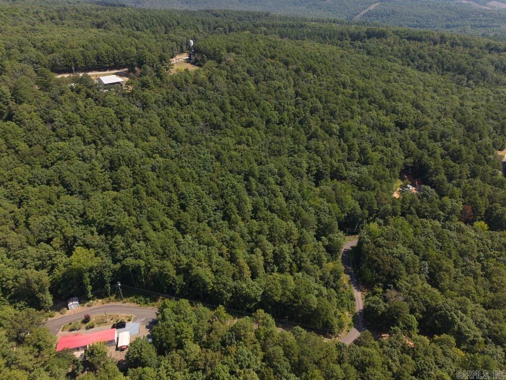 0 White  Clinton, AR