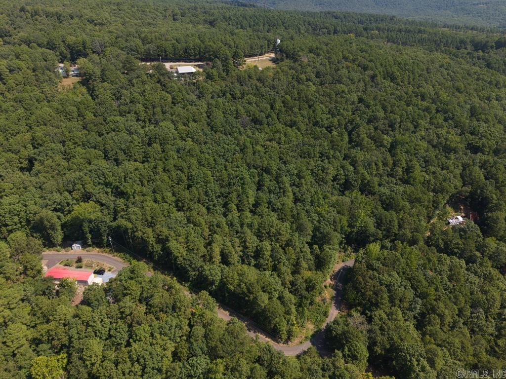 0 White  Clinton, AR