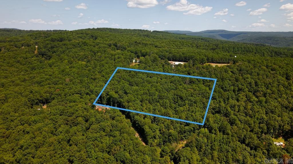 0 White  Clinton, AR