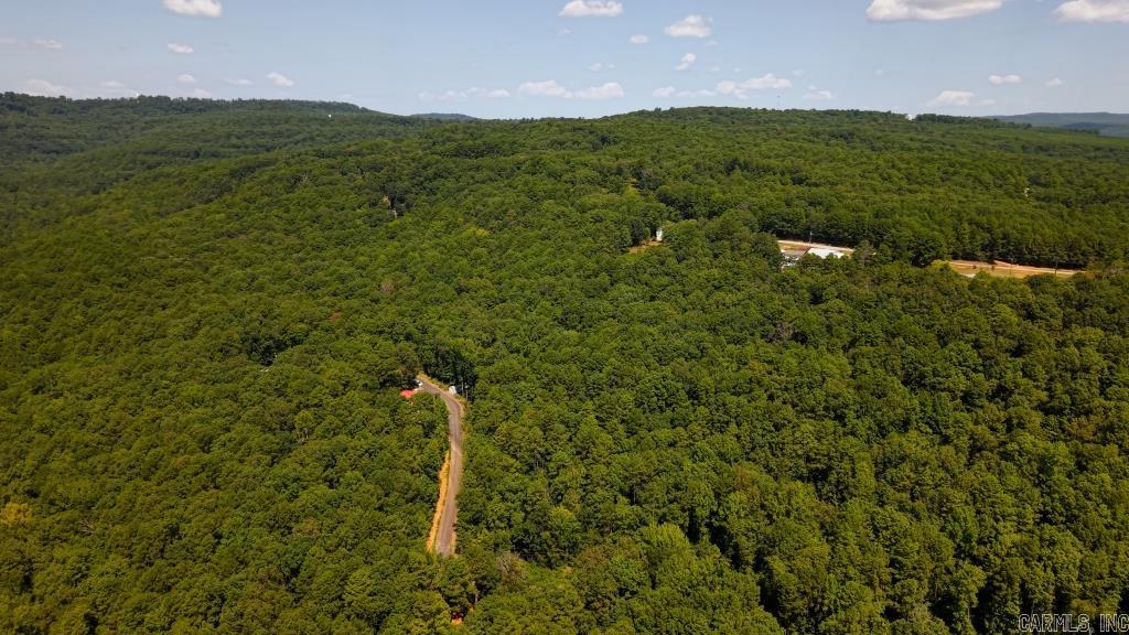 0 White  Clinton, AR