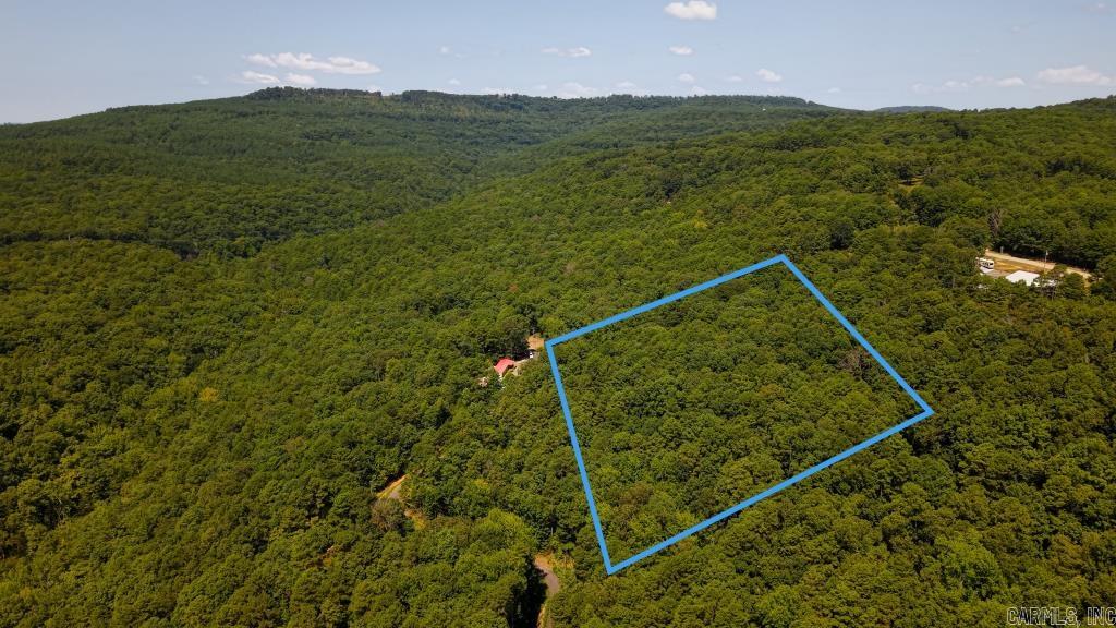 0 White  Clinton, AR