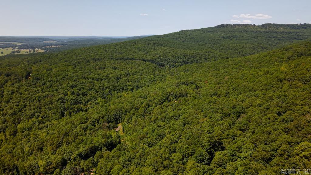 0 White  Clinton, AR