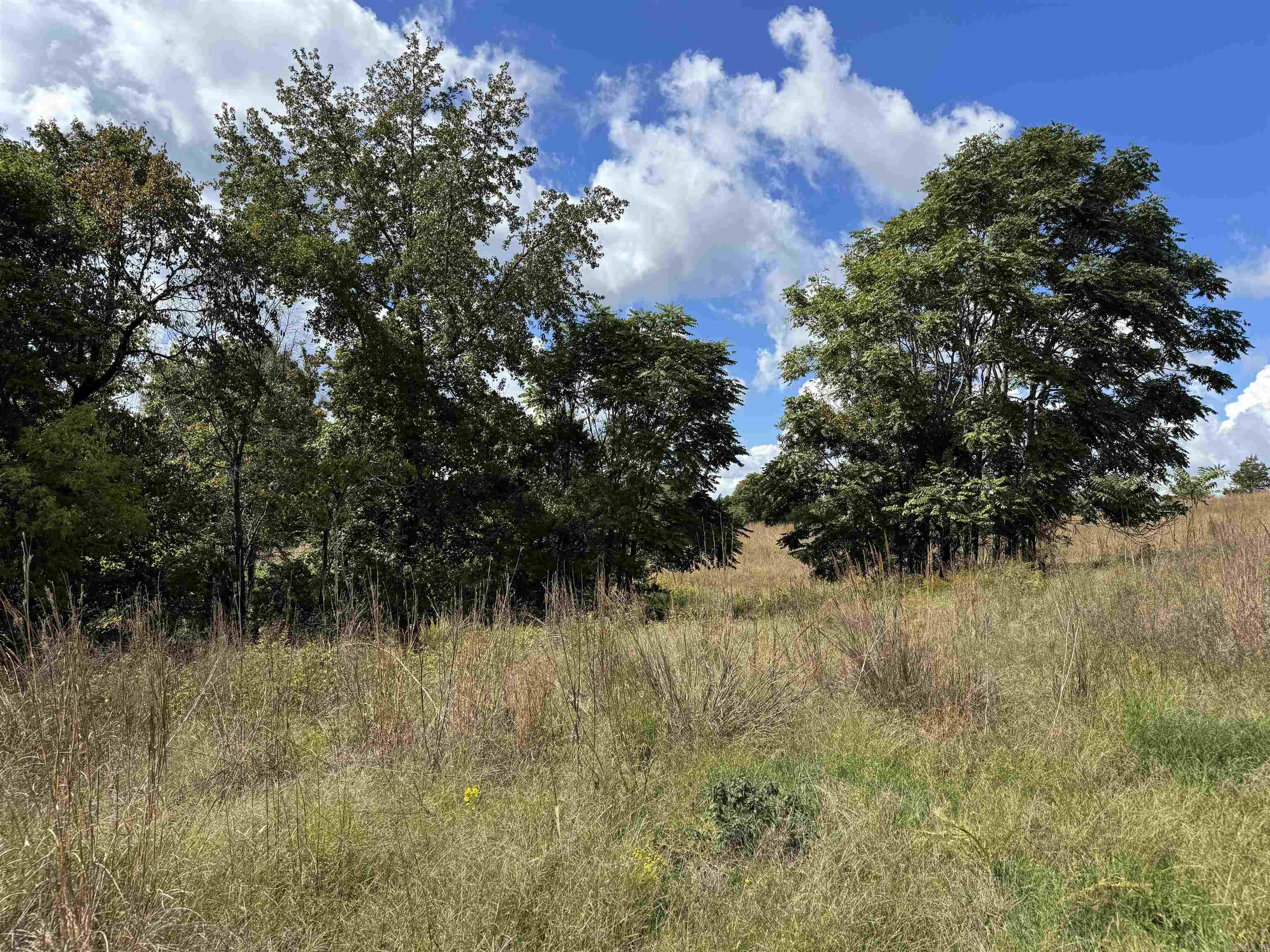 00 Calico  Clinton, AR