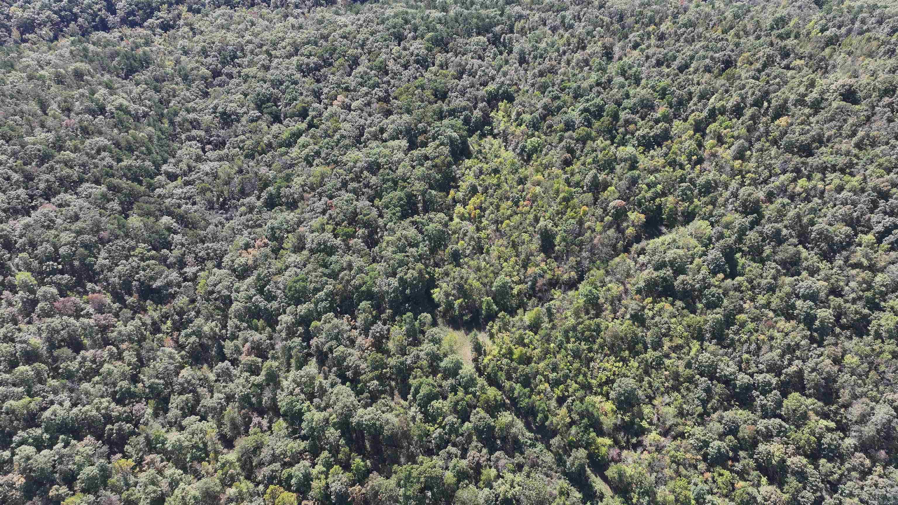 00 Calico  Clinton, AR