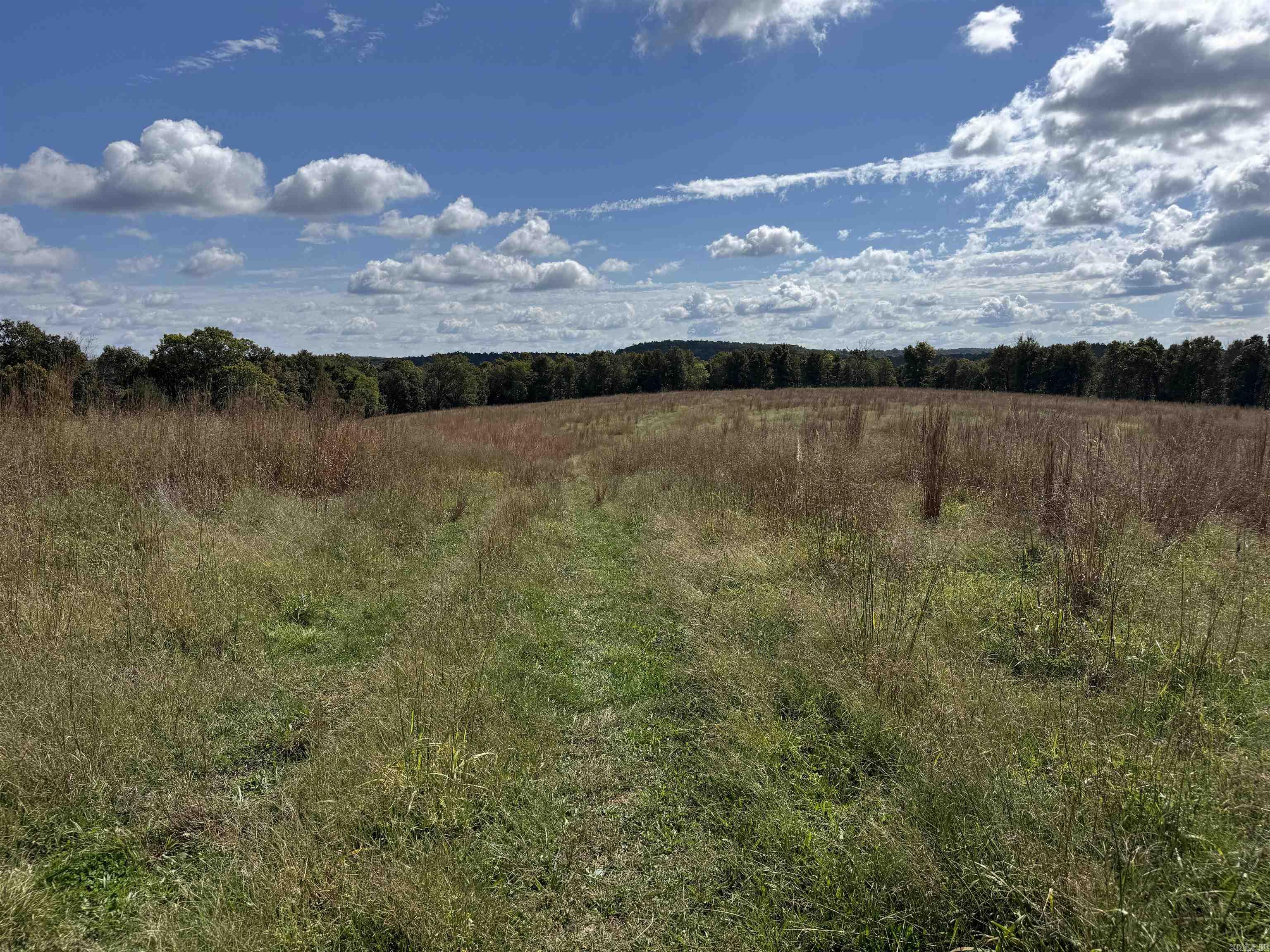 00 Calico  Clinton, AR