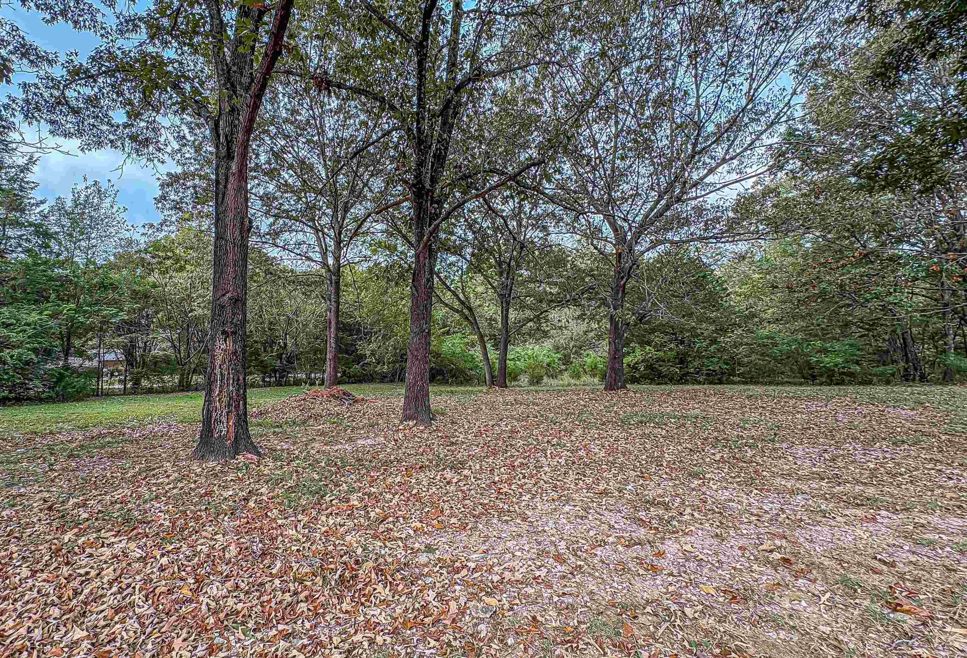 154 MC 7091  Flippin, AR