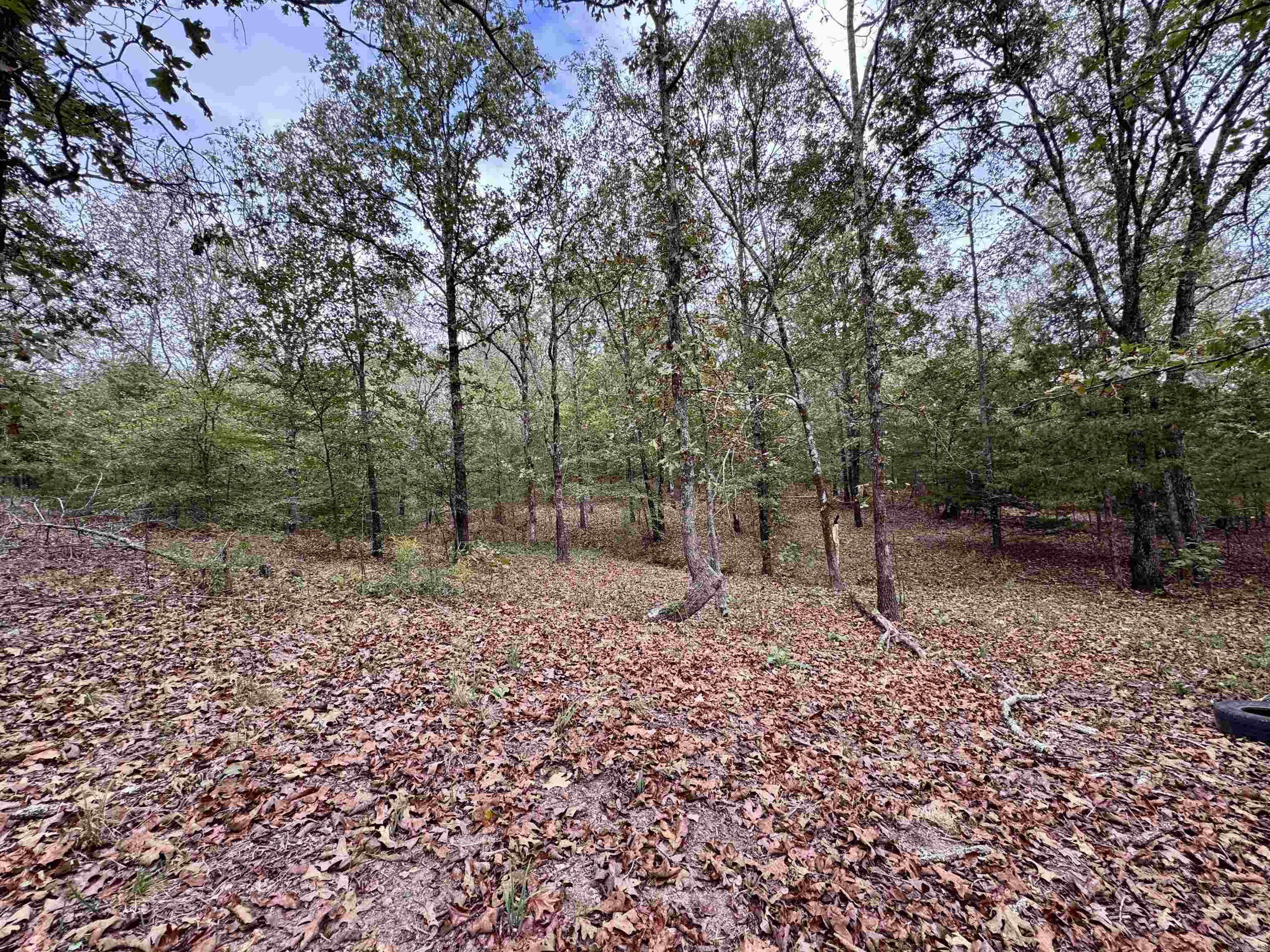 51 Trina Loop Greenbrier, AR 72058