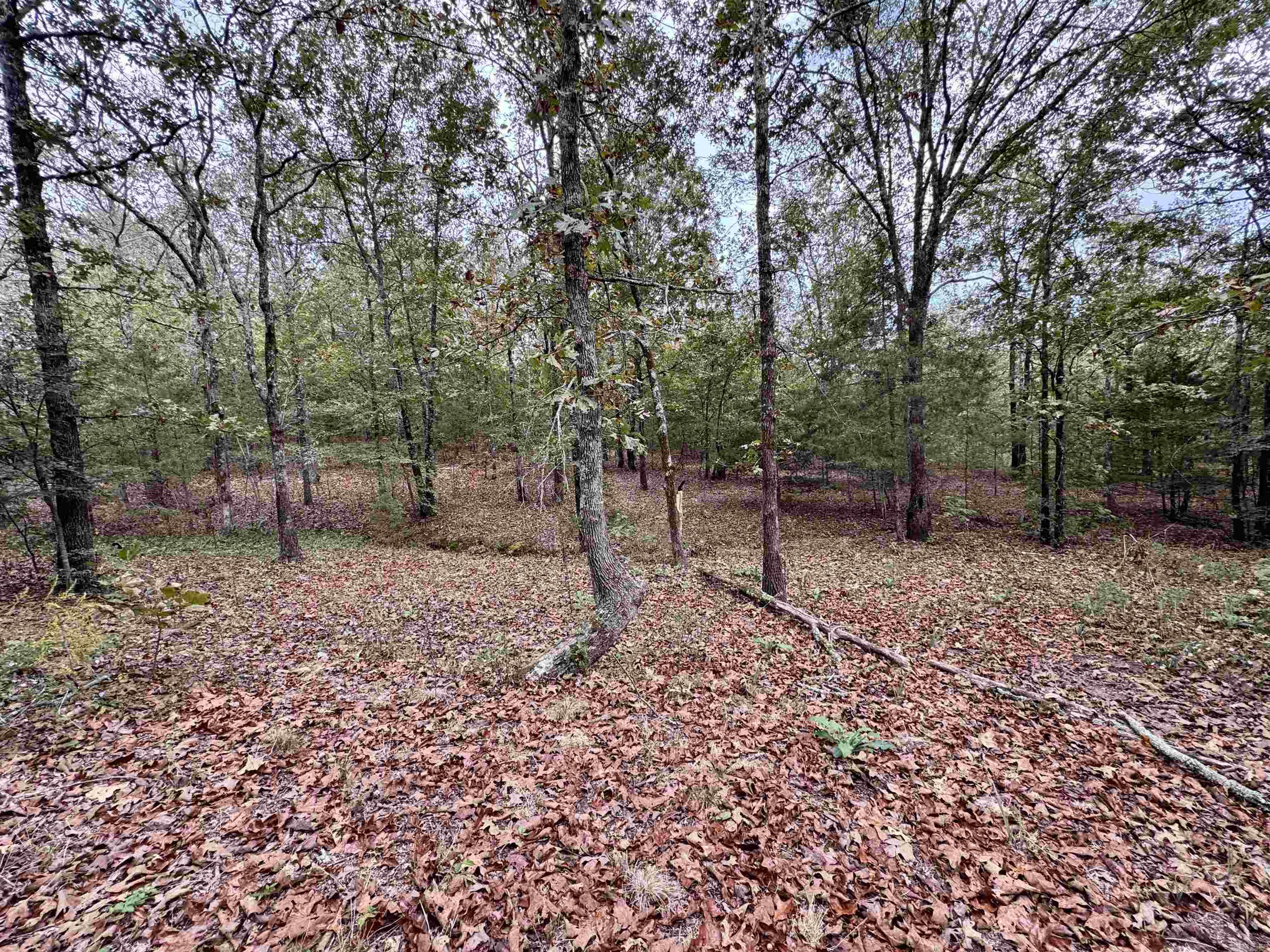 51 Trina Loop Greenbrier, AR 72058