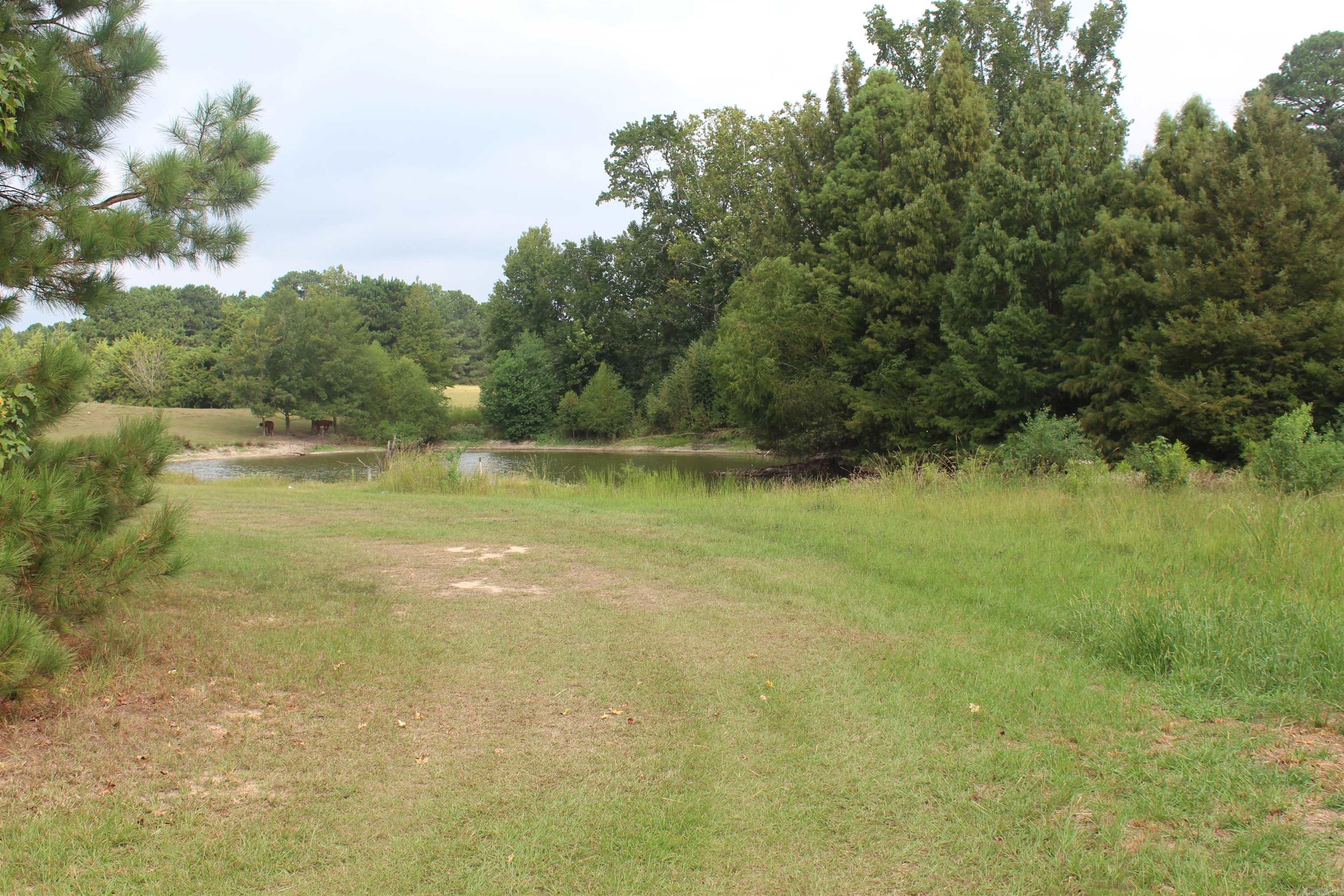 3296 hwy 278 E  Hope, AR