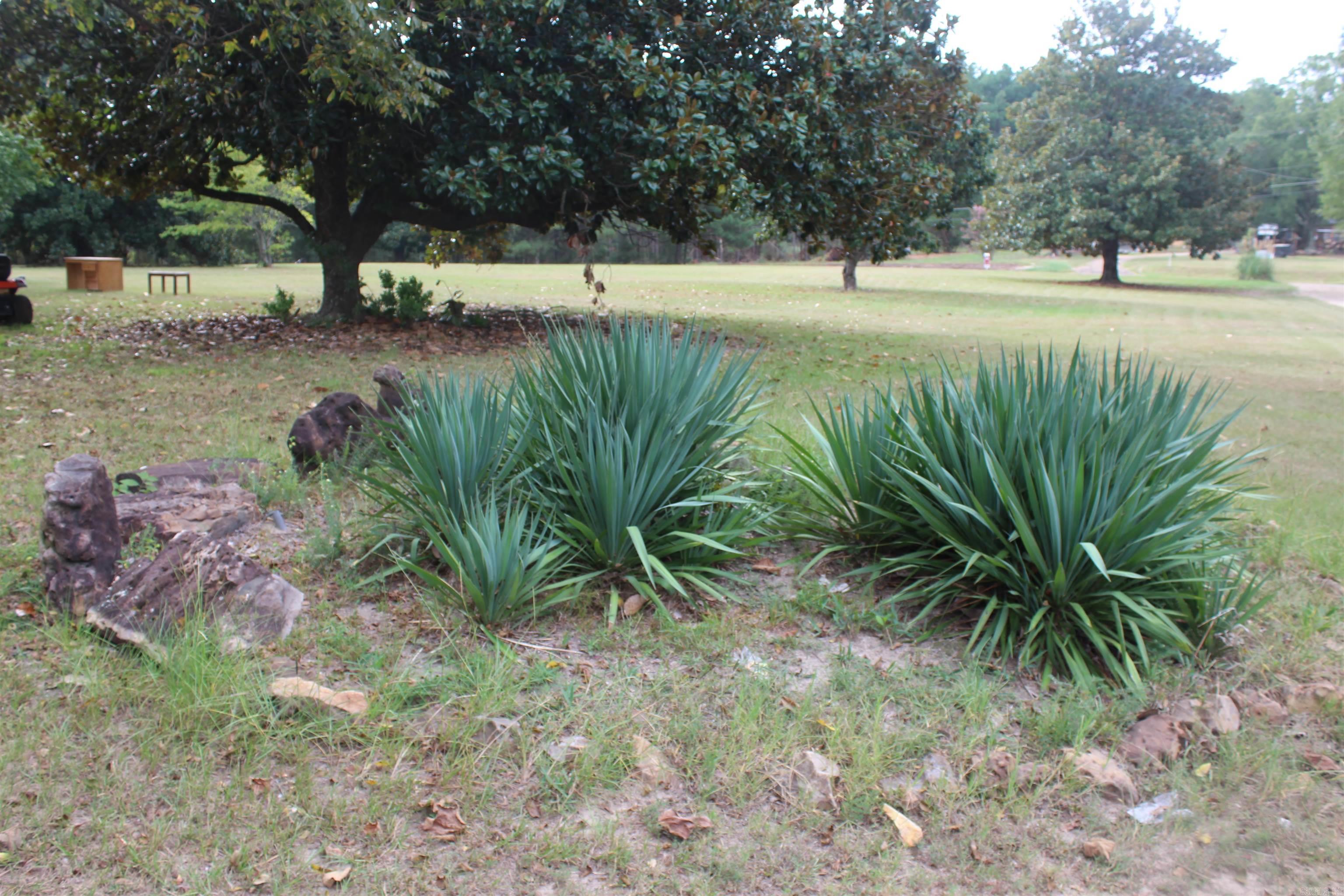 3296 hwy 278 E  Hope, AR