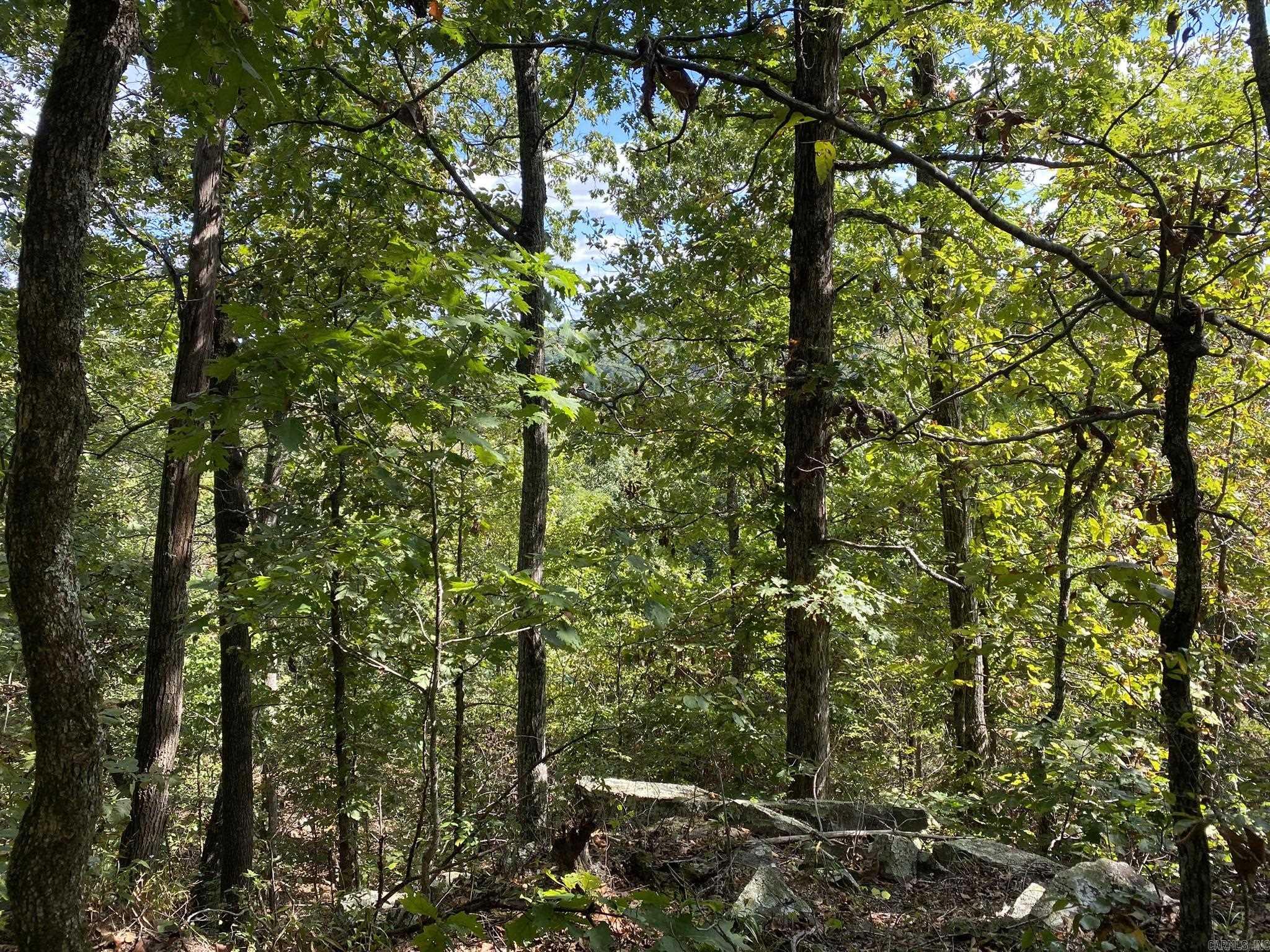 Lot 11 Cooper Point  Mountain View, AR