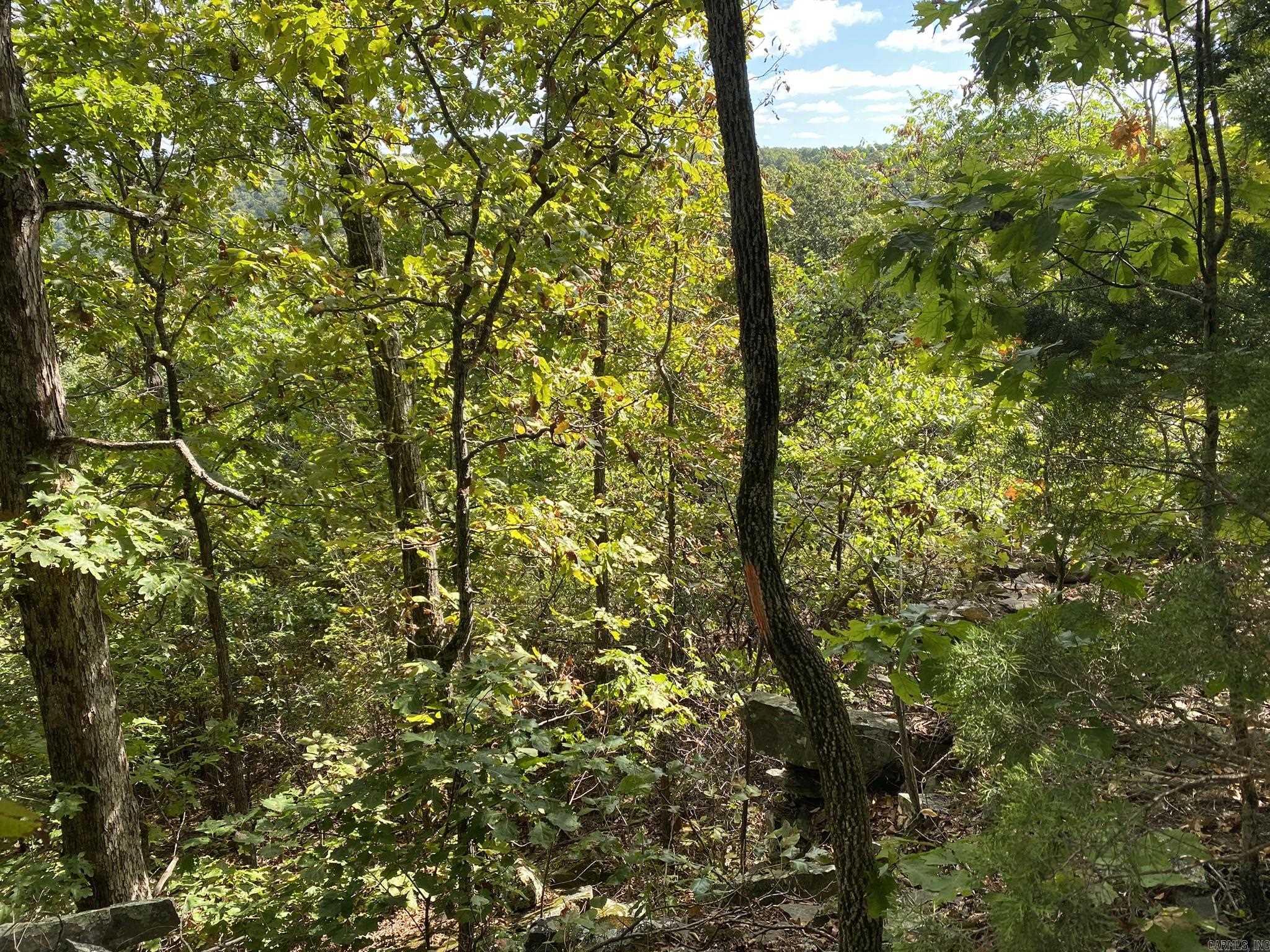 Lot 11 Cooper Point  Mountain View, AR