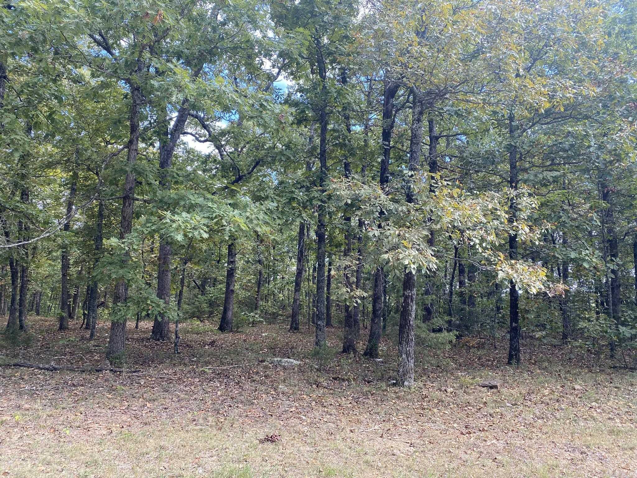 Lot 11 Cooper Point  Mountain View, AR
