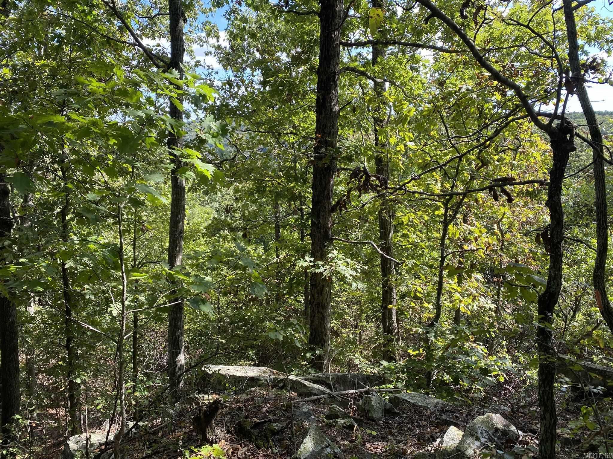 Lot 11 Cooper Point  Mountain View, AR