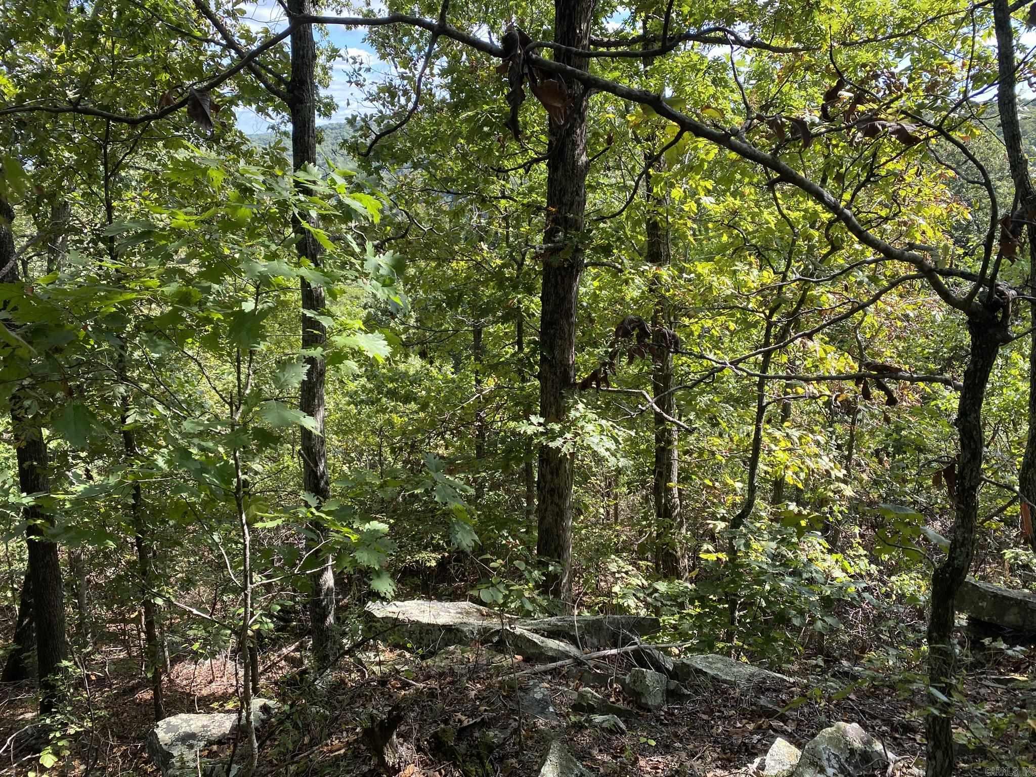 Lot 11 Cooper Point  Mountain View, AR