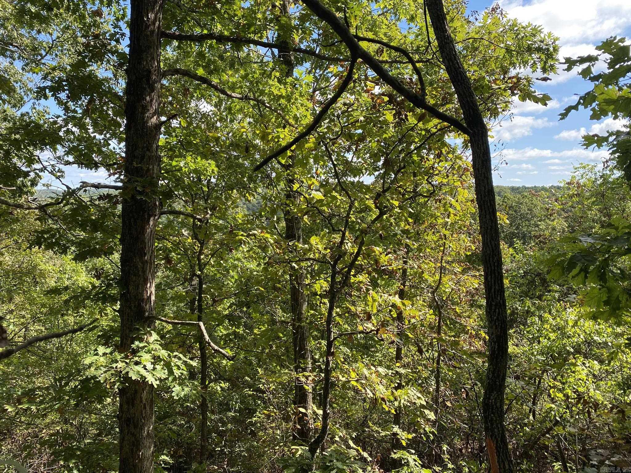 Lot 11 Cooper Point  Mountain View, AR