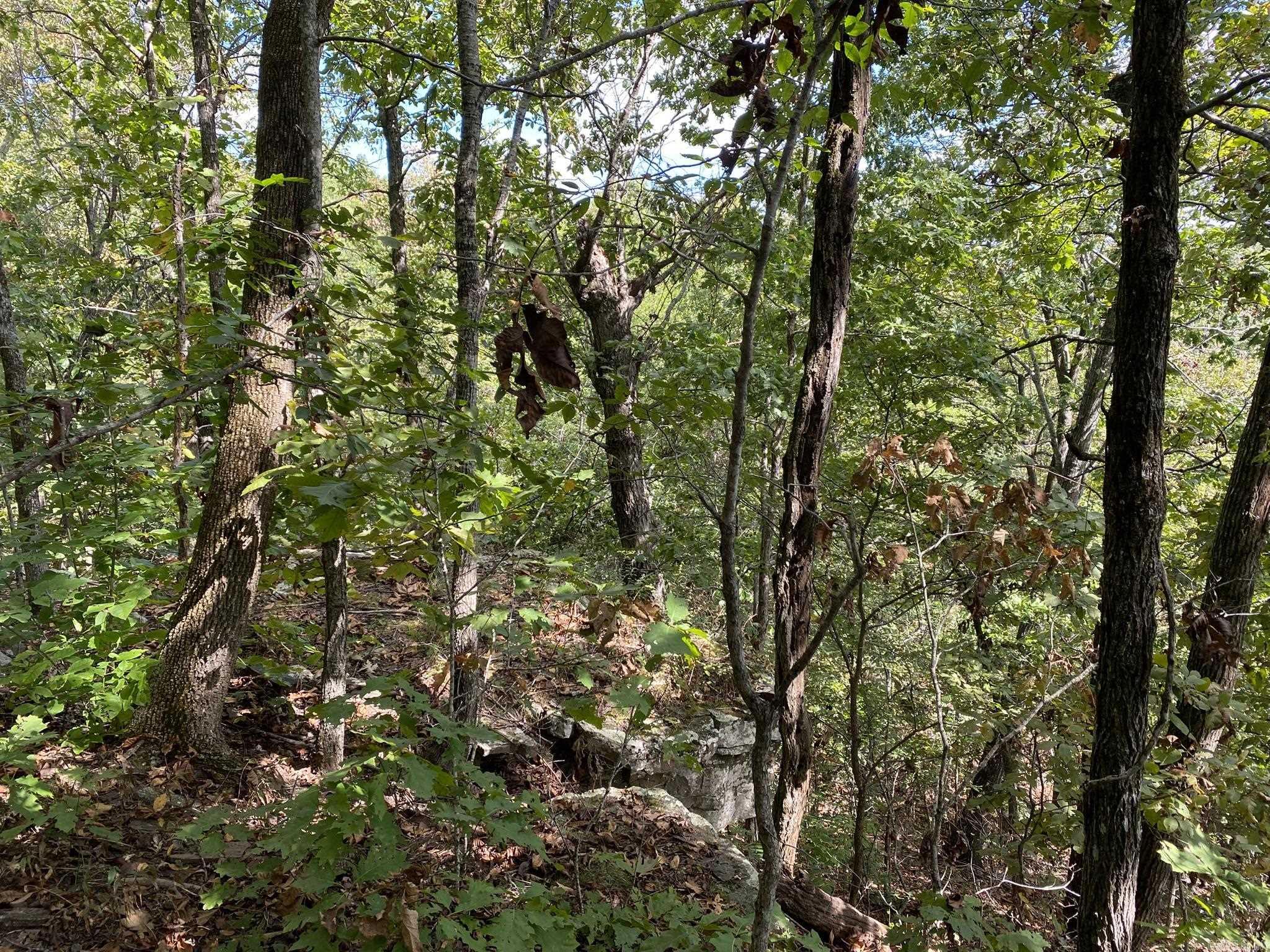 Lot 11 Cooper Point  Mountain View, AR