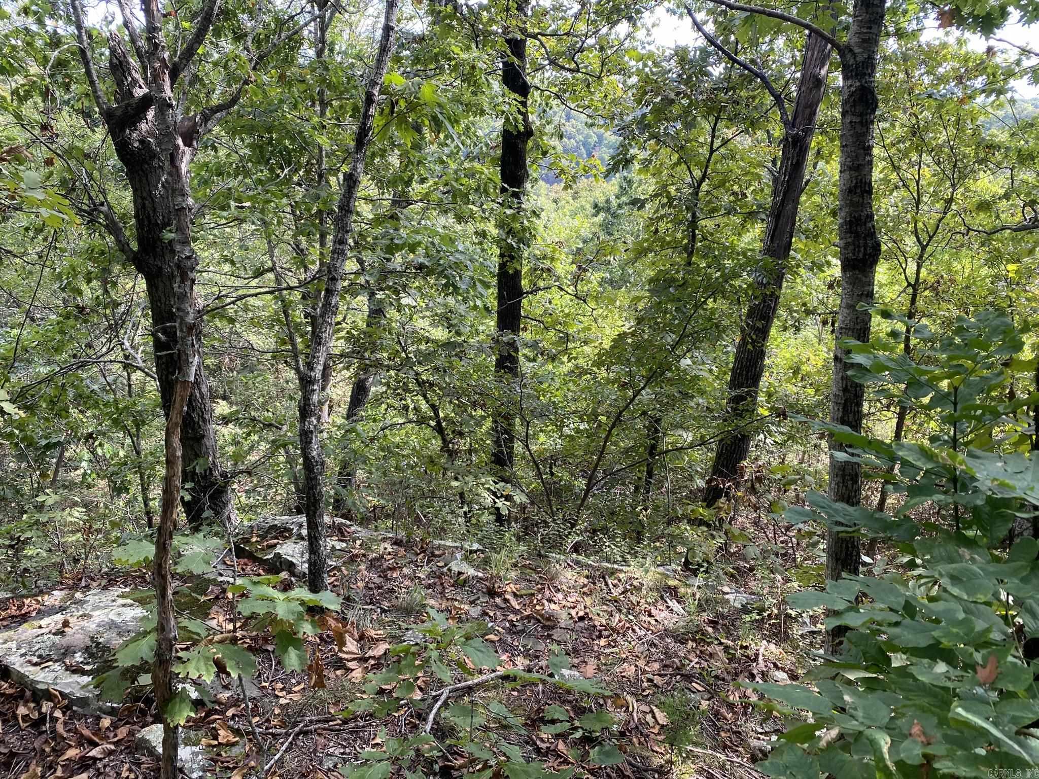 Lot 11 Cooper Point  Mountain View, AR