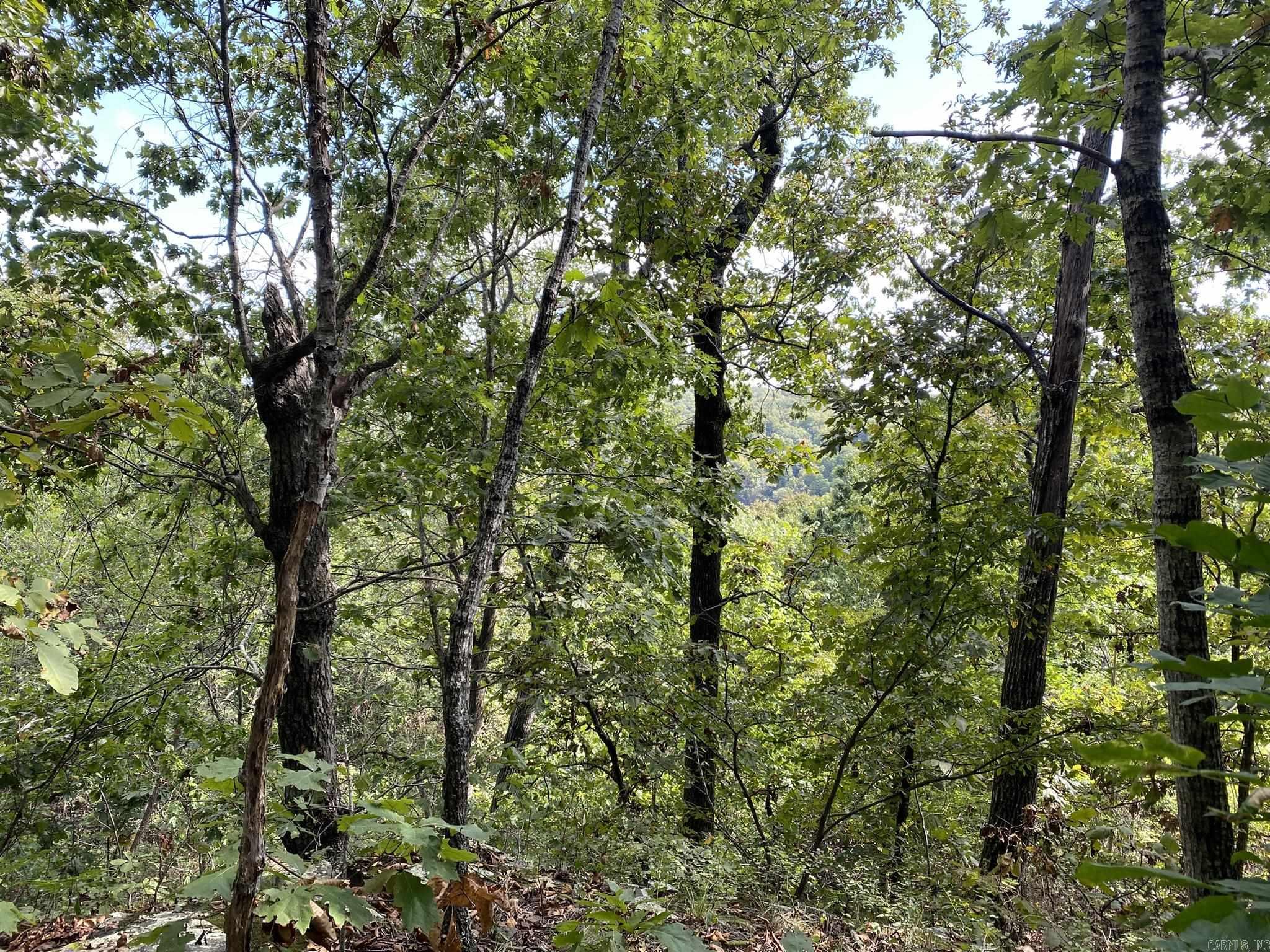 Lot 11 Cooper Point  Mountain View, AR