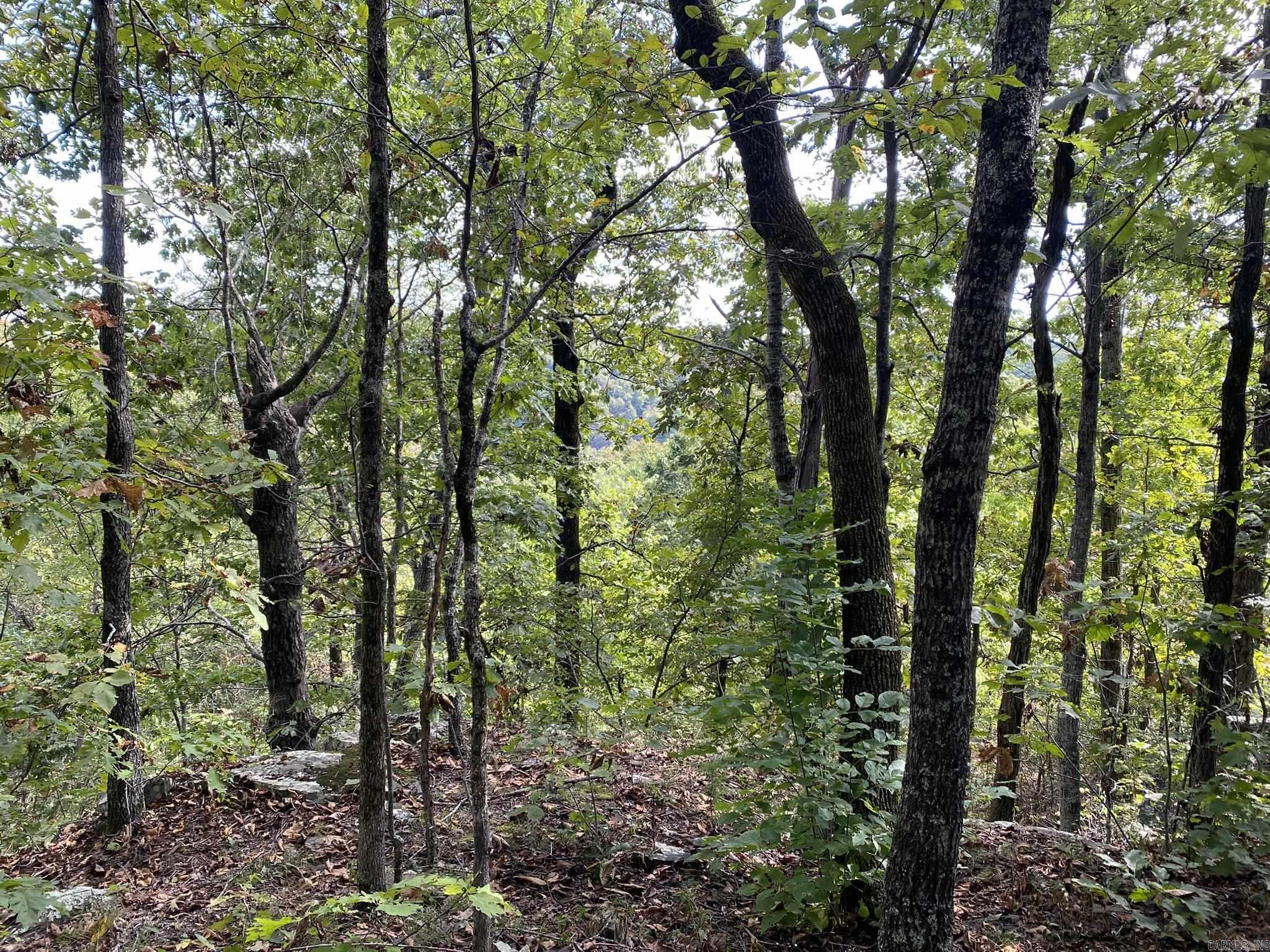 Lot 11 Cooper Point  Mountain View, AR