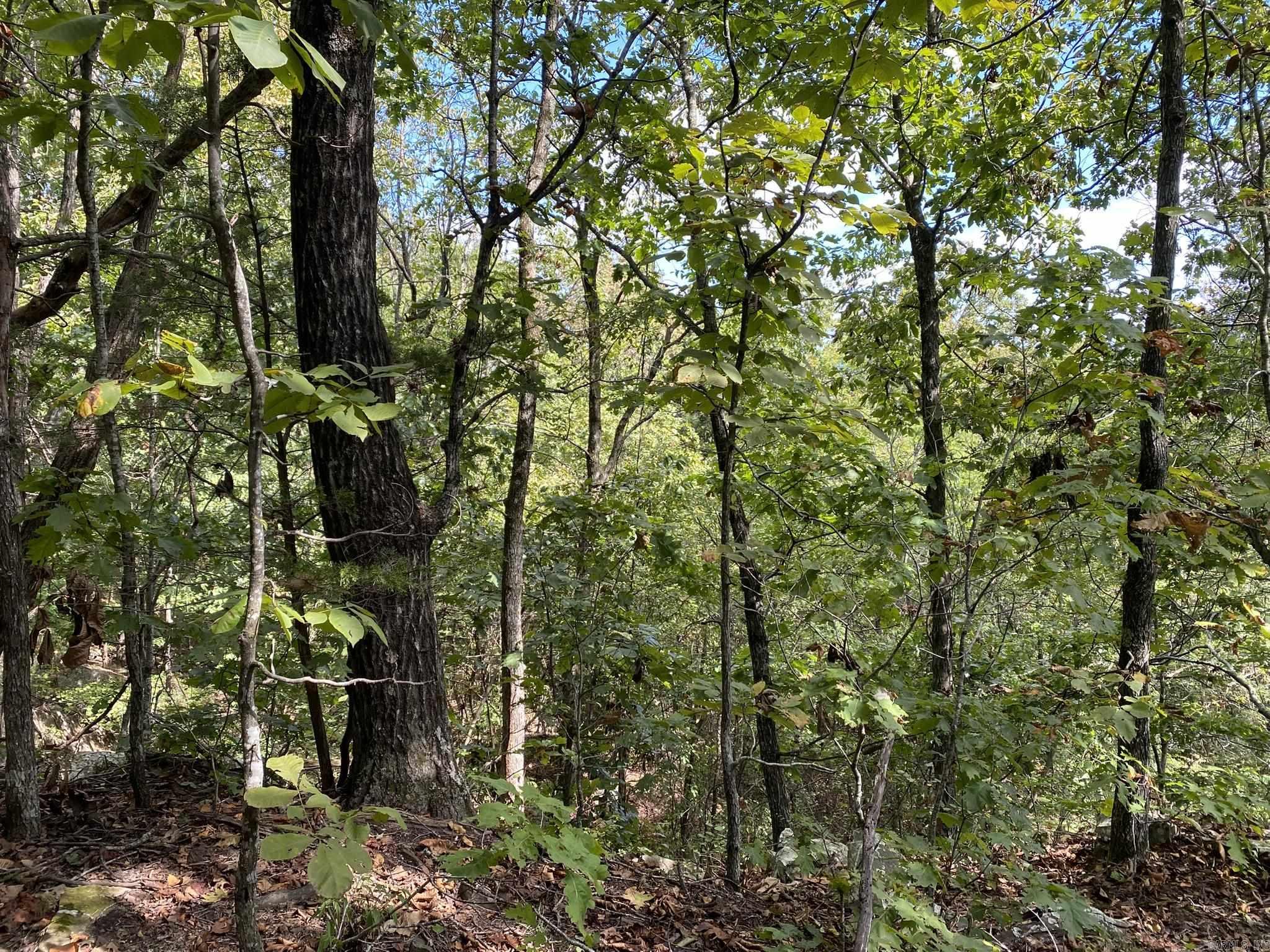 Lot 11 Cooper Point  Mountain View, AR