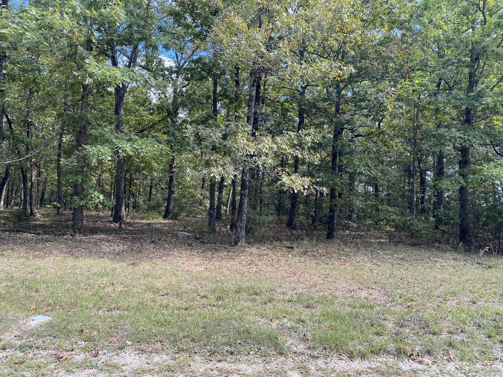 Lot 11 Cooper Point  Mountain View, AR
