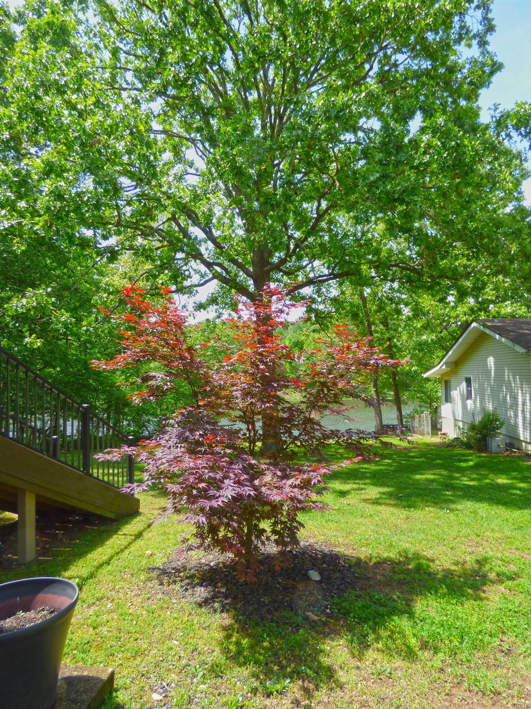 46 Enid  Cherokee Village, AR