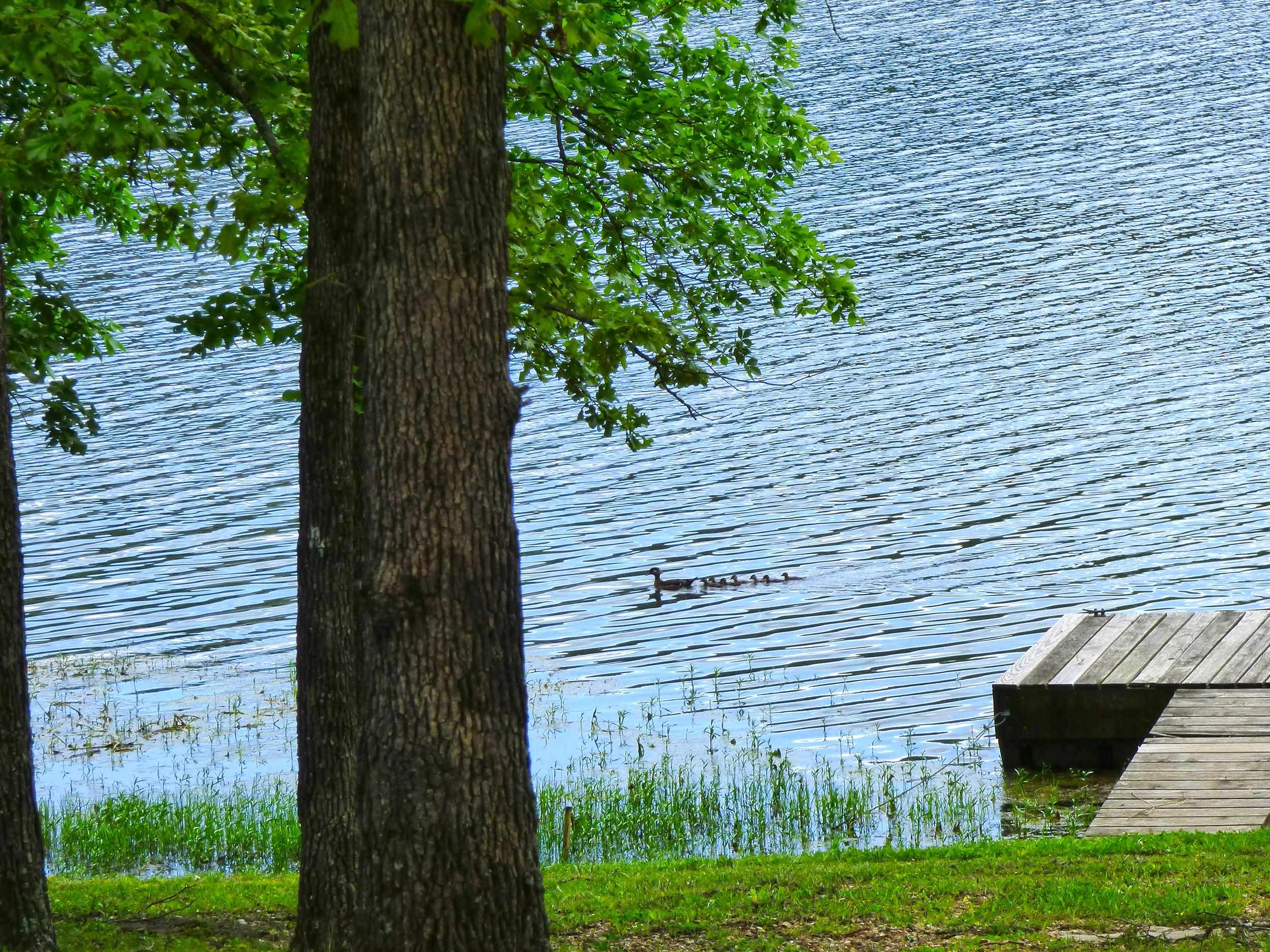 46 Enid  Cherokee Village, AR