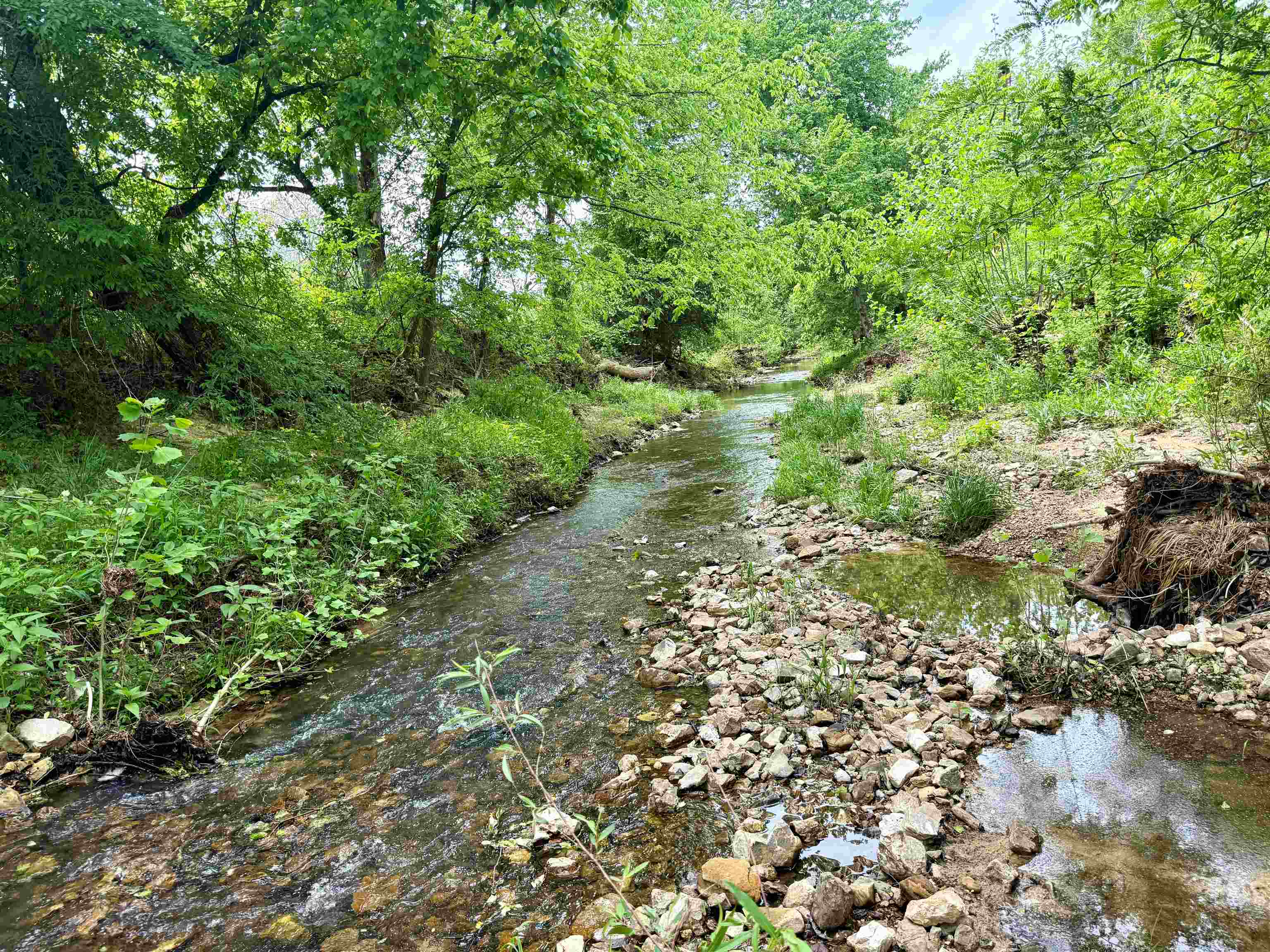 2157 Pleasant Grove Road Calico Rock, AR 72519-0000