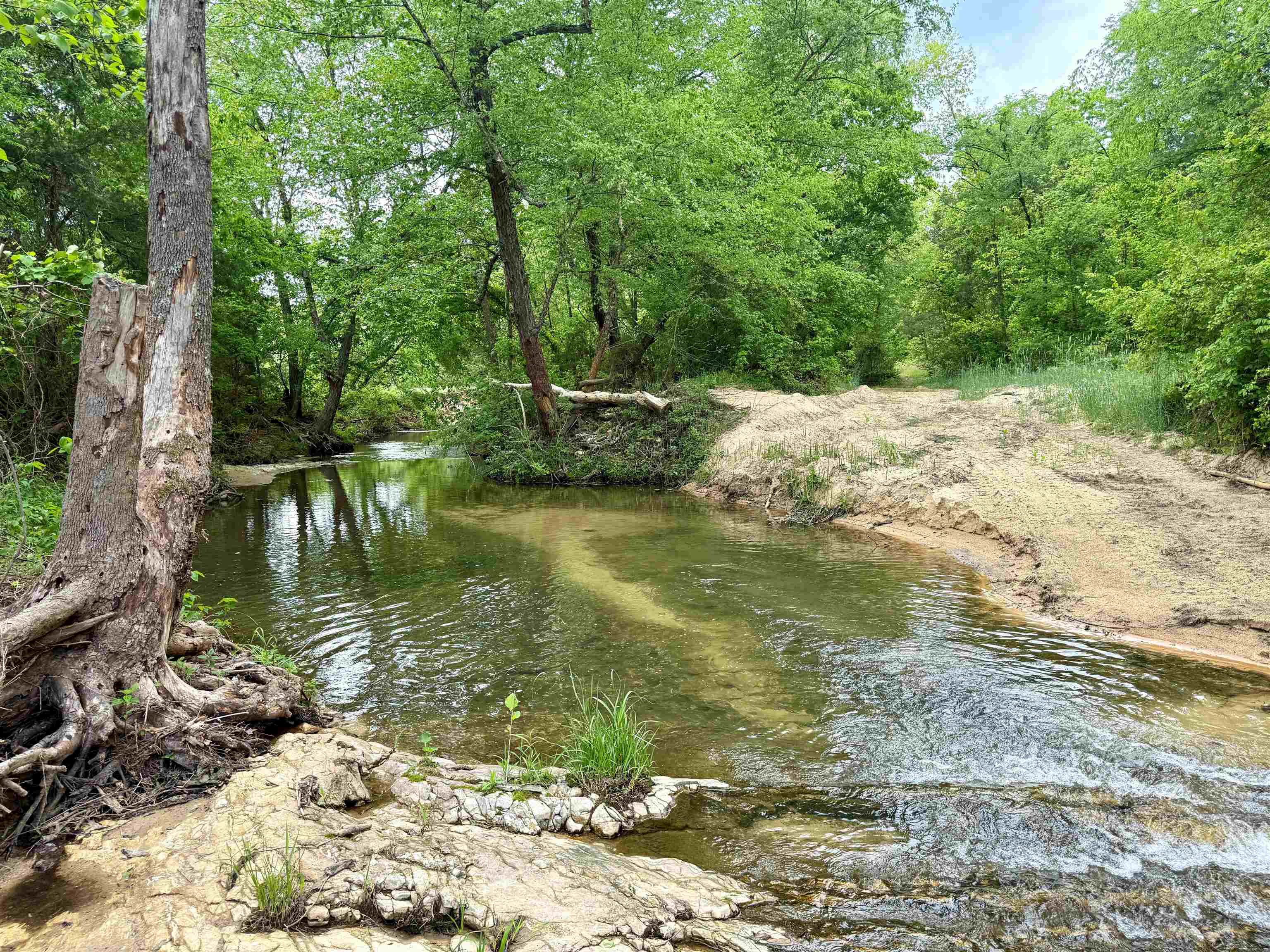 2157 Pleasant Grove Road Calico Rock, AR 72519-0000