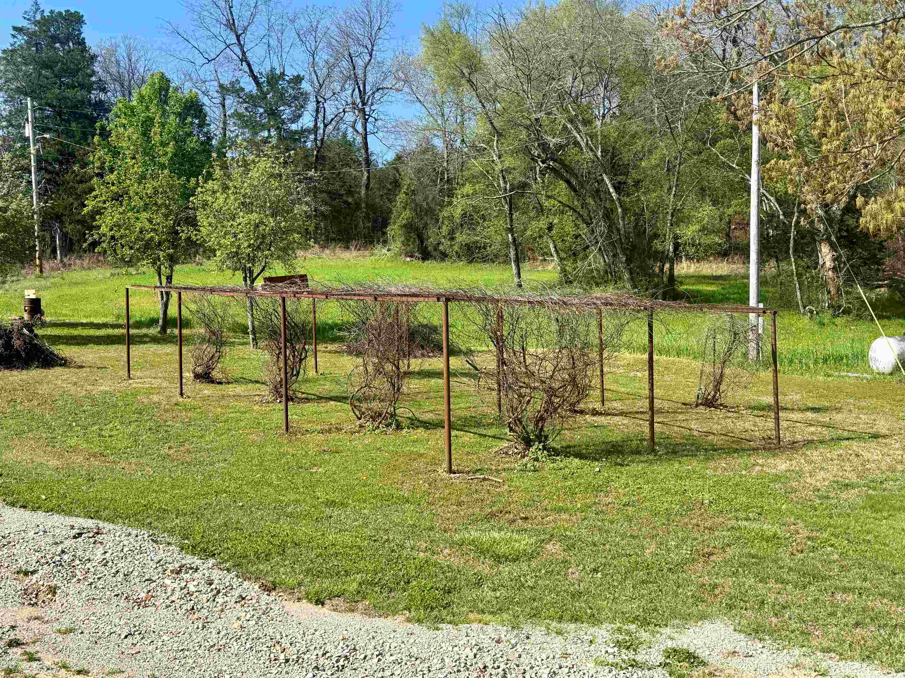 2157 Pleasant Grove Road Calico Rock, AR 72519-0000