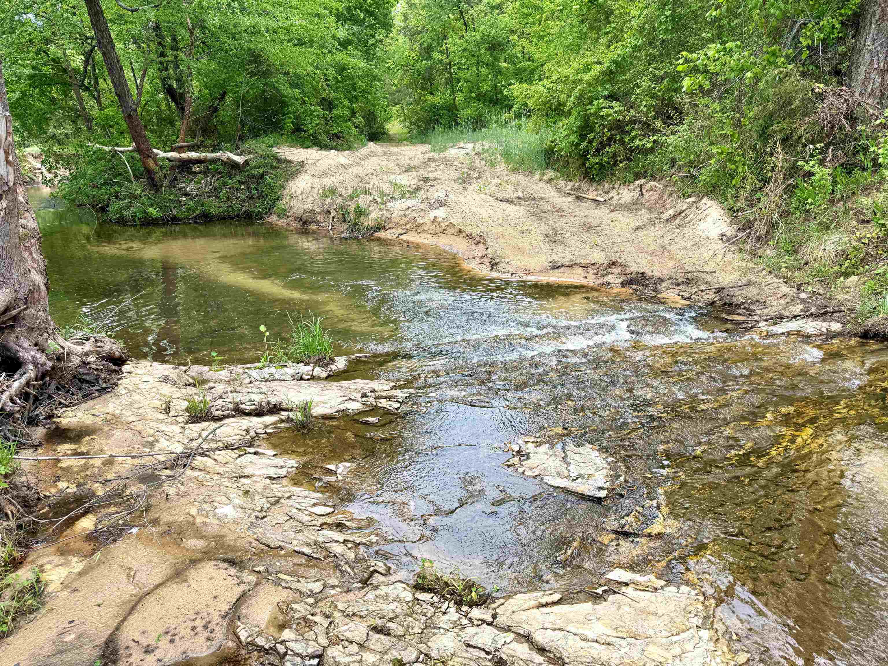 2157 Pleasant Grove Road Calico Rock, AR 72519-0000