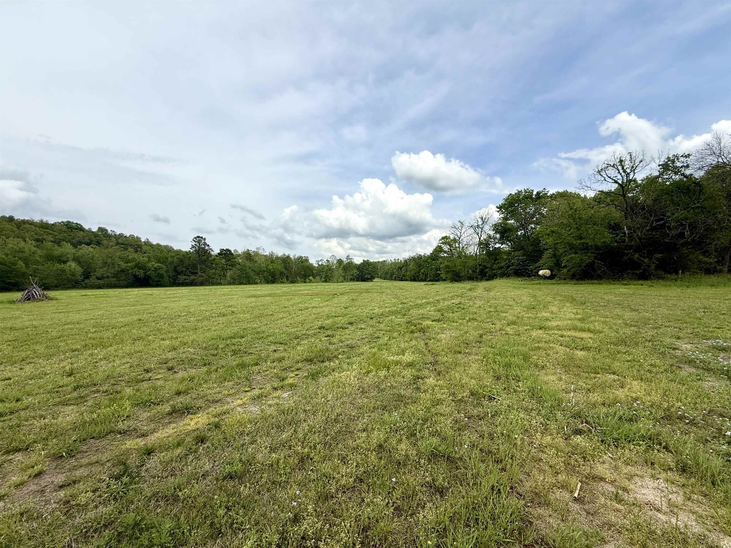 2157 Pleasant Grove Road Calico Rock, AR 72519-0000