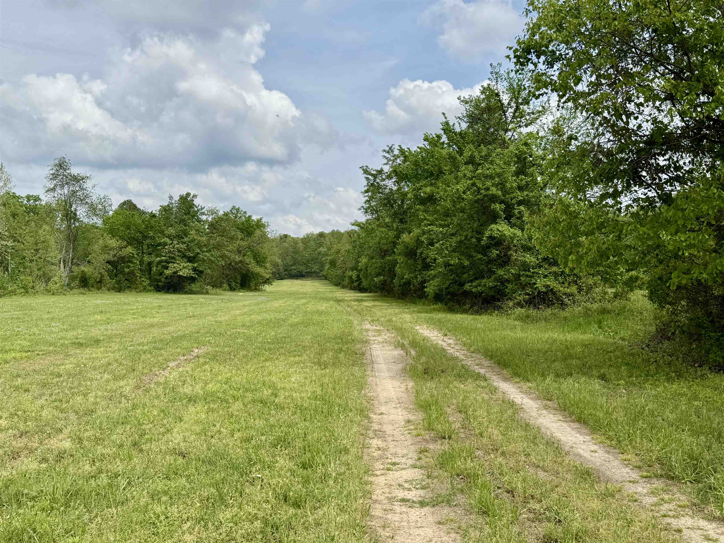 2157 Pleasant Grove Road Calico Rock, AR 72519-0000