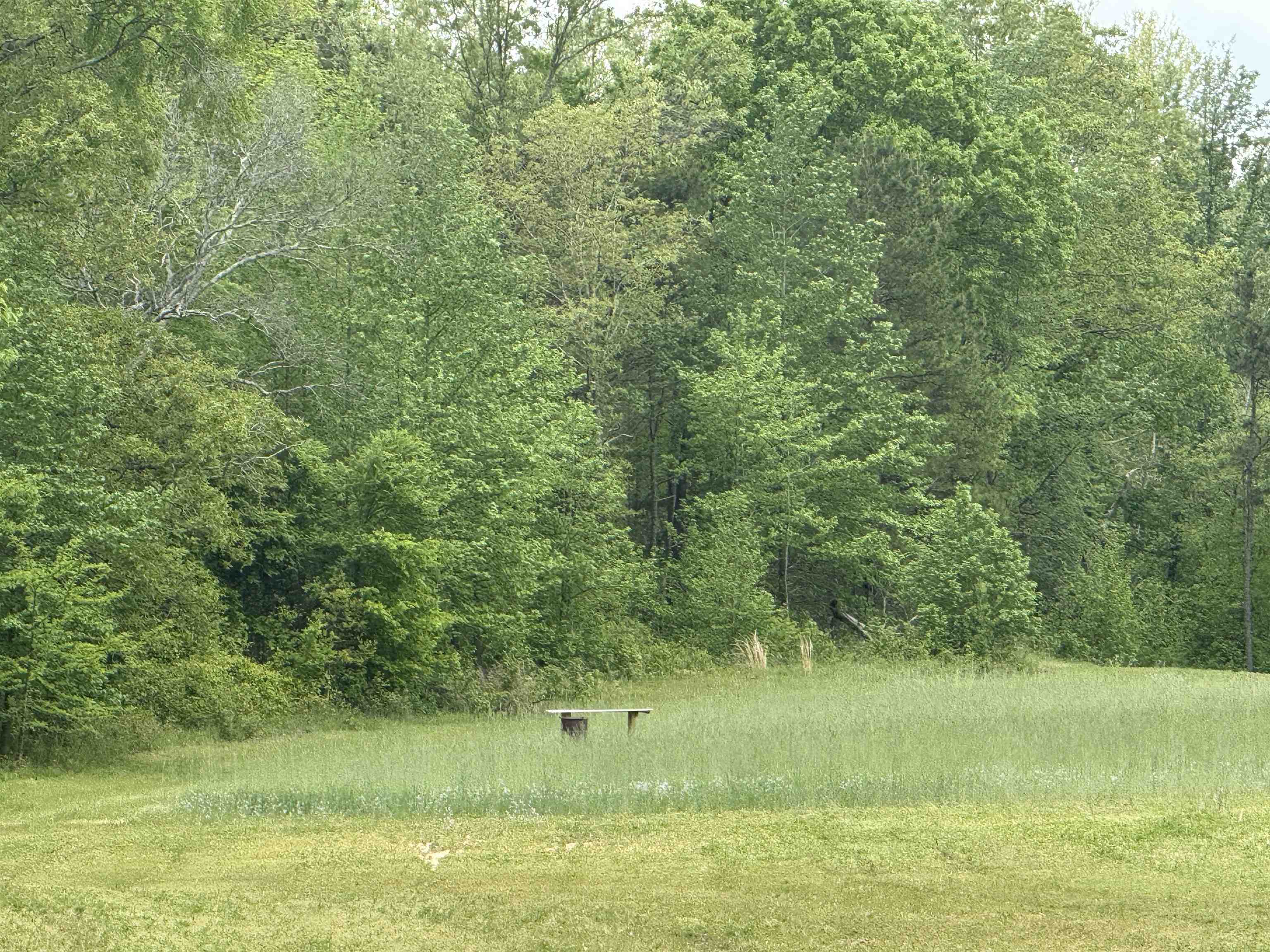 2157 Pleasant Grove Road Calico Rock, AR 72519-0000