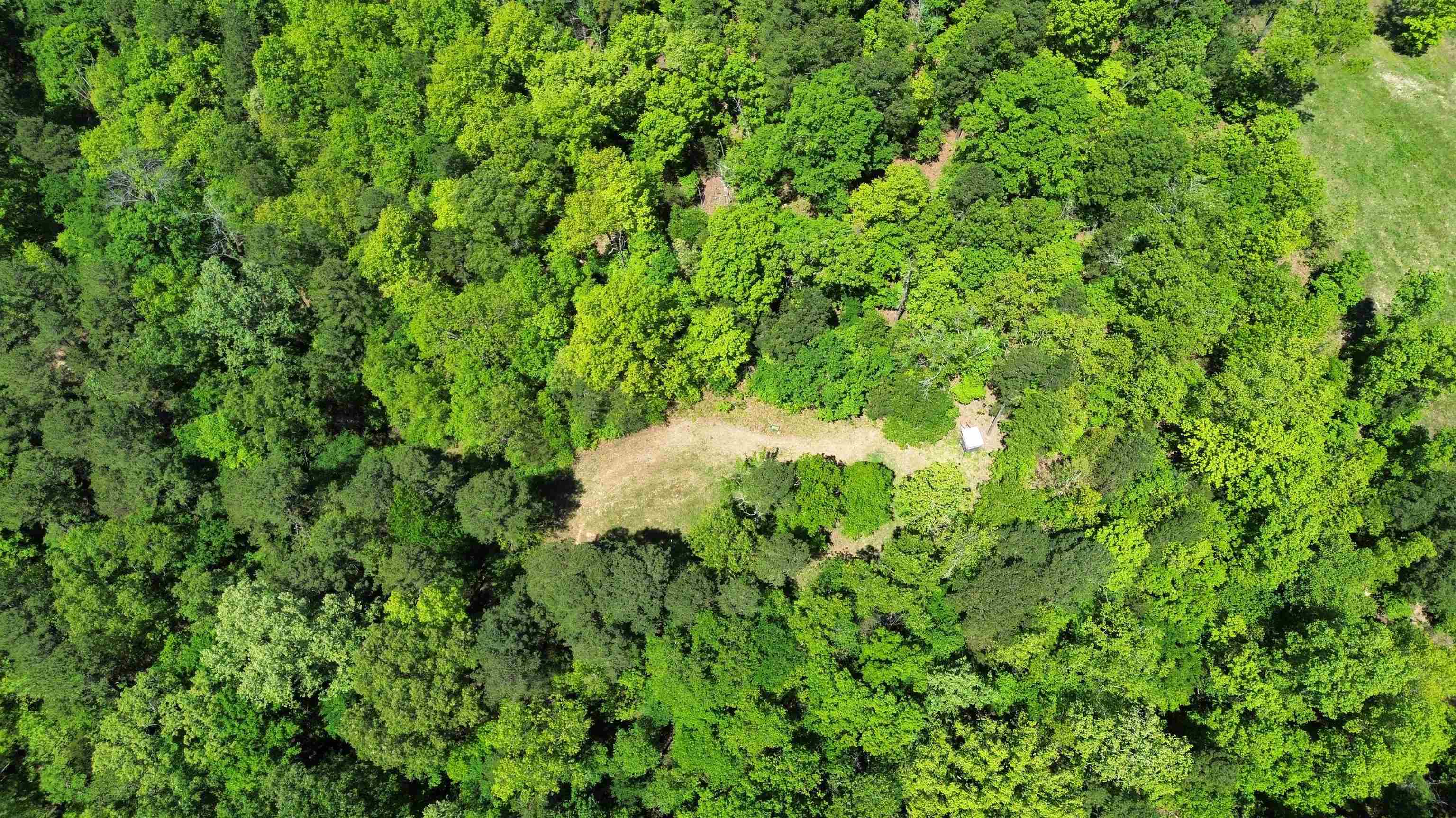 2157 Pleasant Grove Road Calico Rock, AR 72519-0000