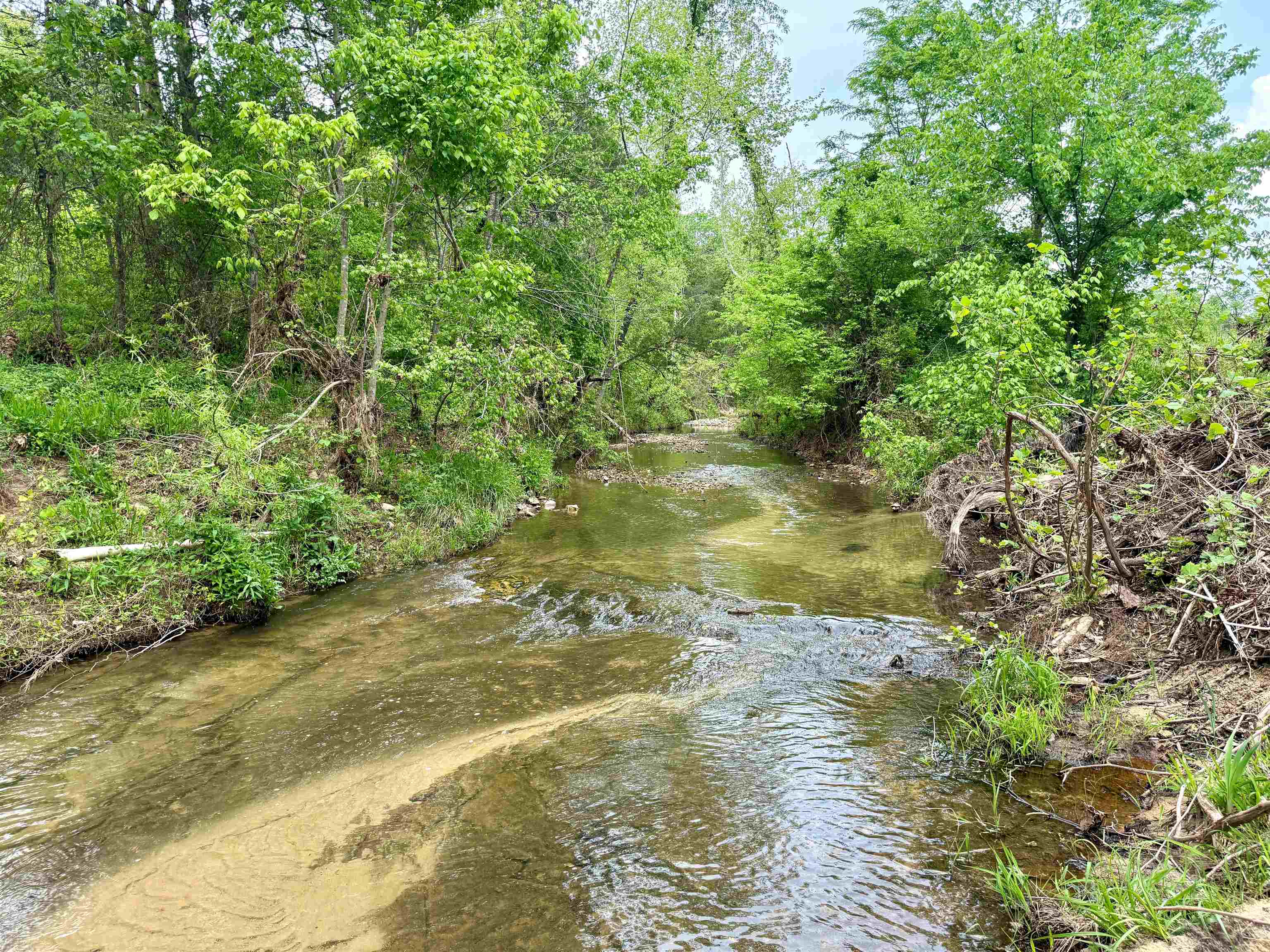 2157 Pleasant Grove Road Calico Rock, AR 72519-0000