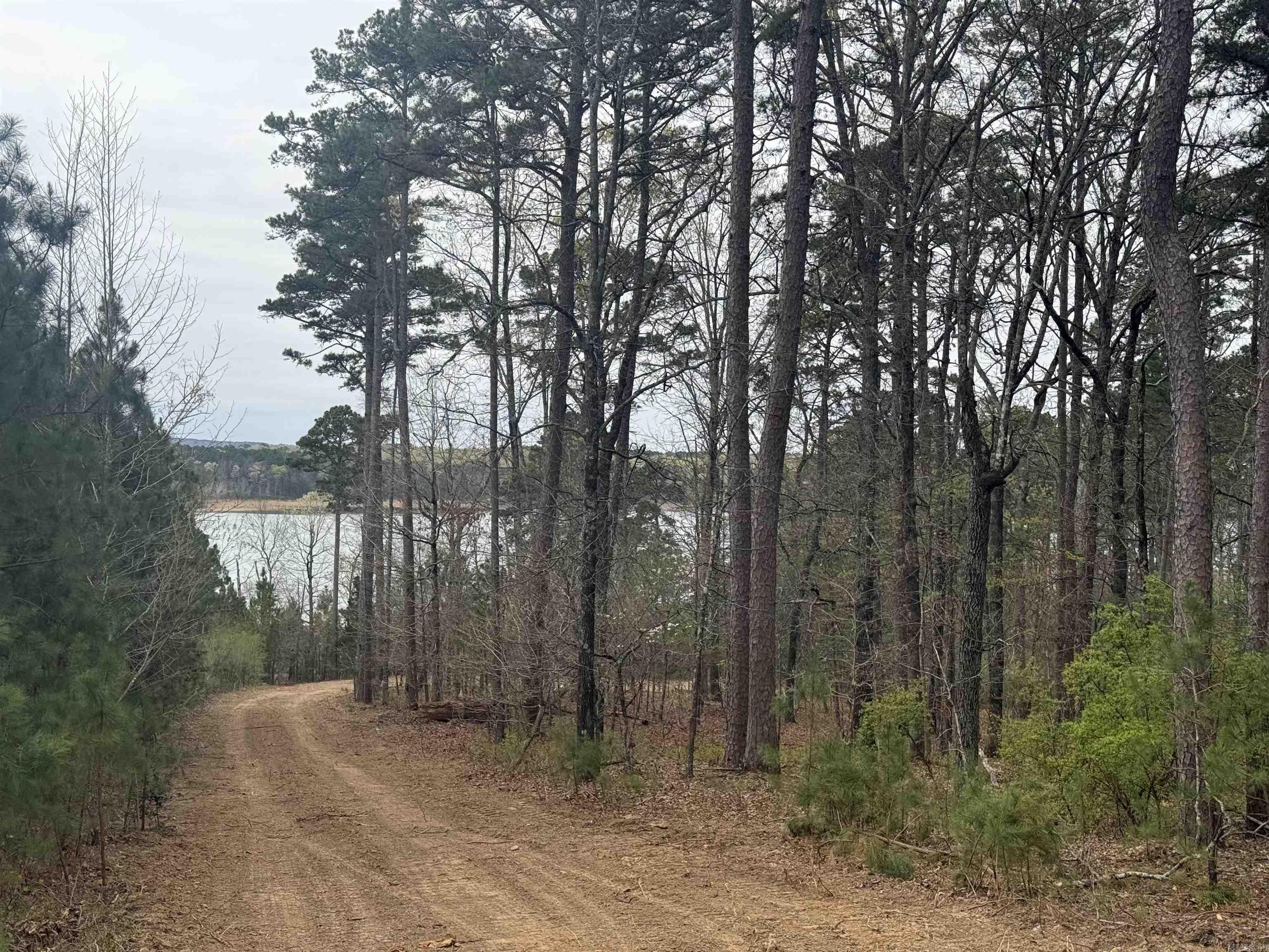Lot 4 Island Shores Drive Drasco, AR 72530