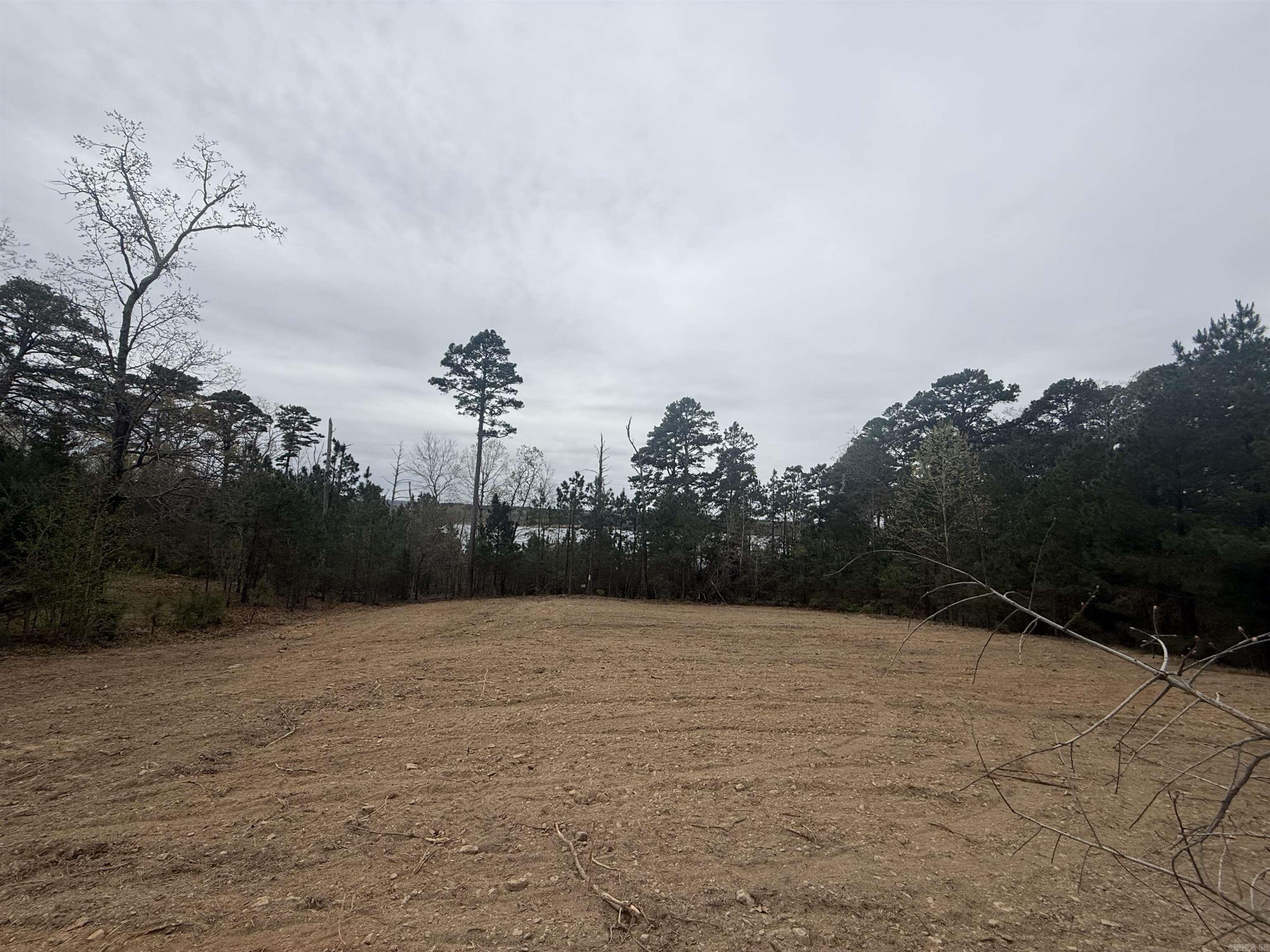 Lot 4 Island Shores Drive Drasco, AR 72530