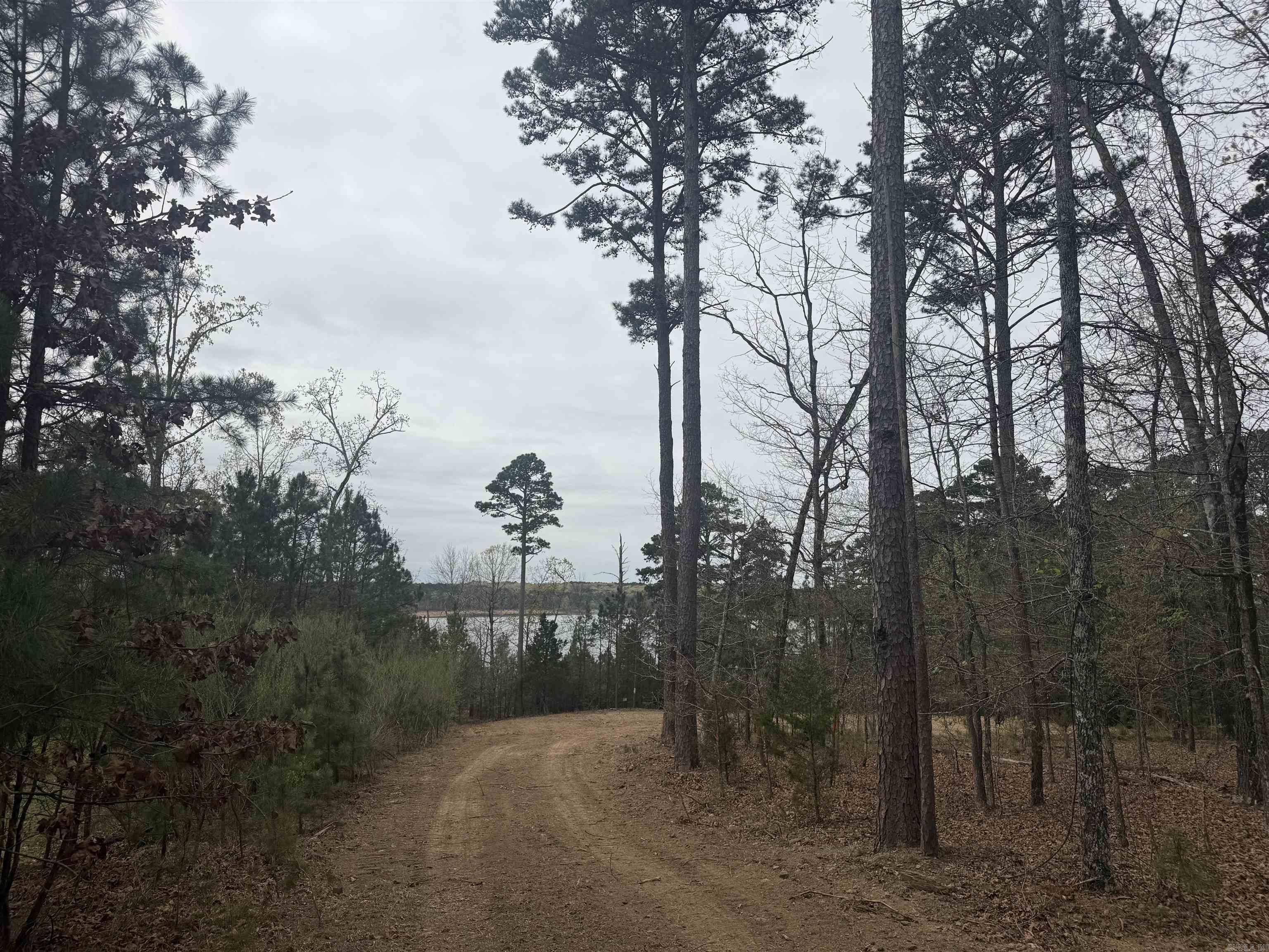 Lot 4 Island Shores Drive Drasco, AR 72530