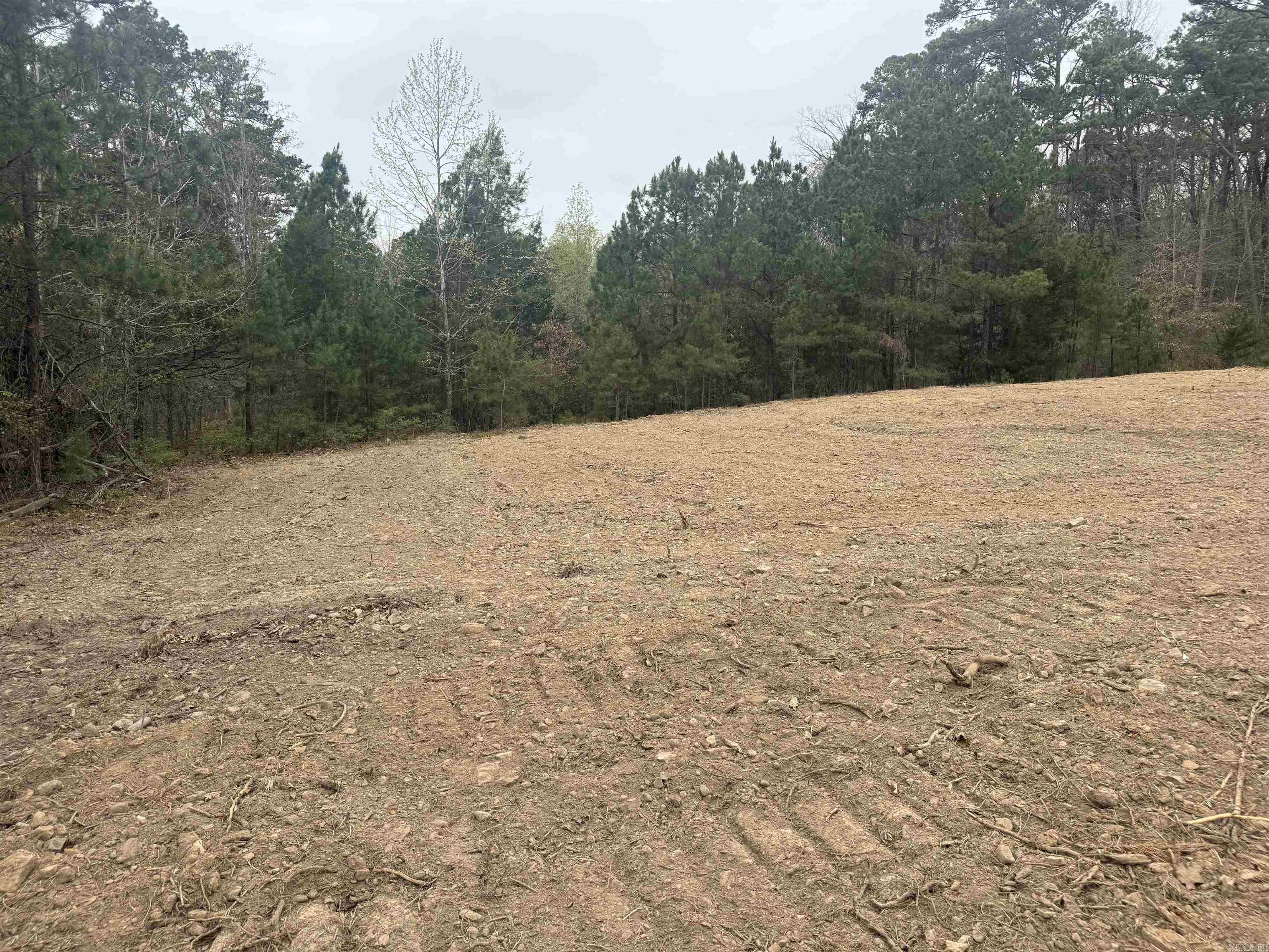 Lot 4 Island Shores Drive Drasco, AR 72530