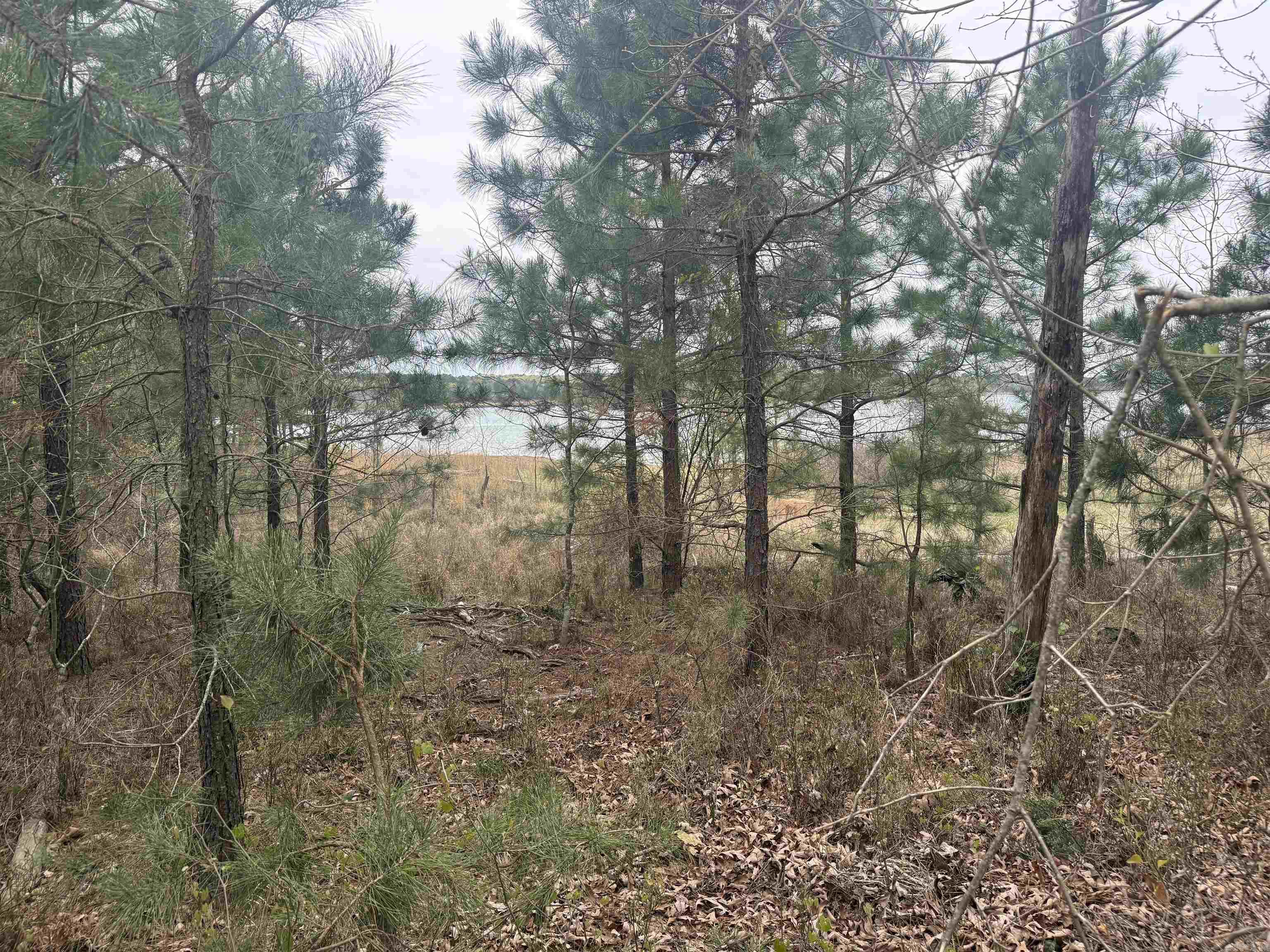 Lot 4 Island Shores Drive Drasco, AR 72530