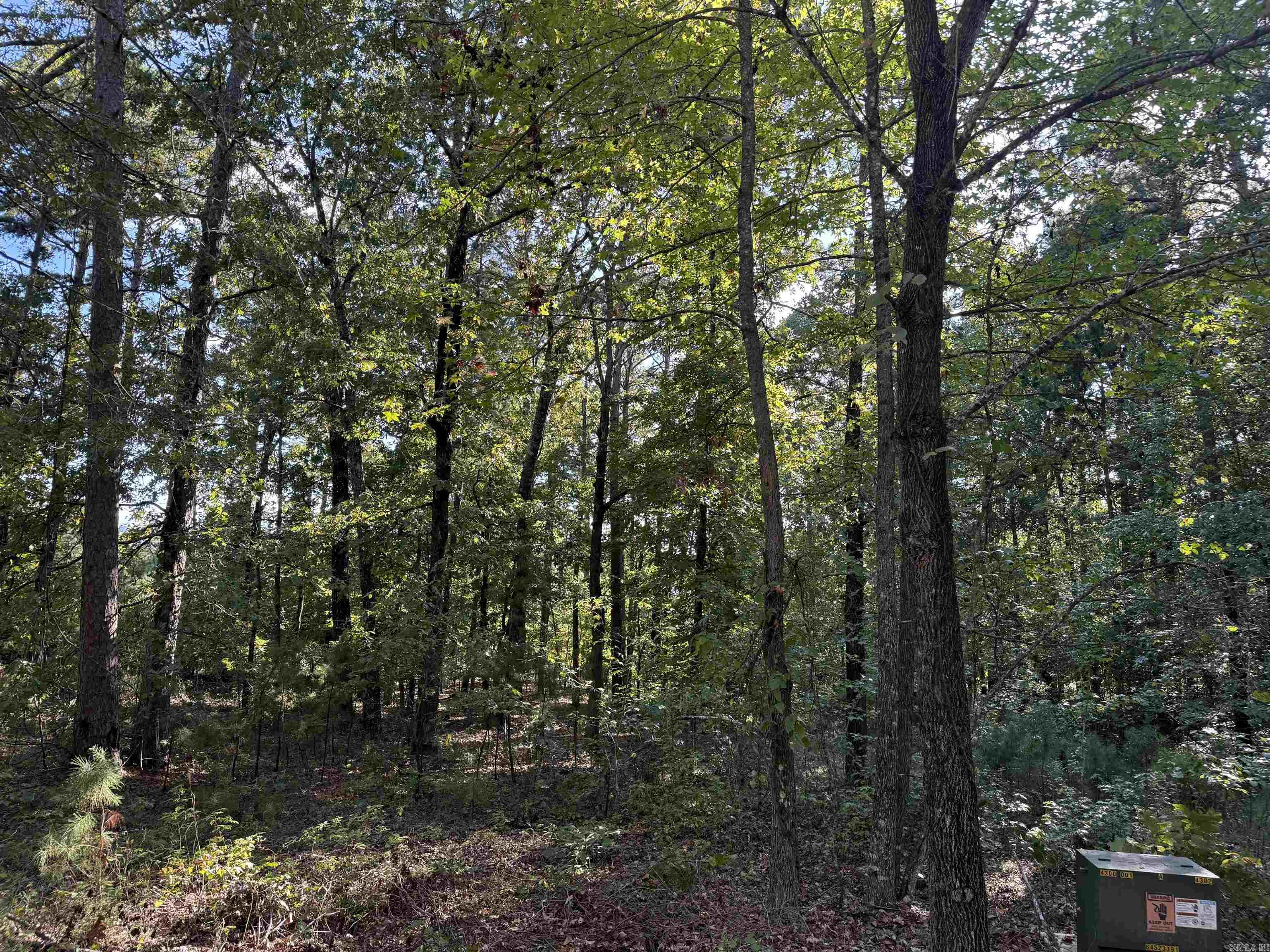 Lot 4 Island Shores Drive Drasco, AR 72530